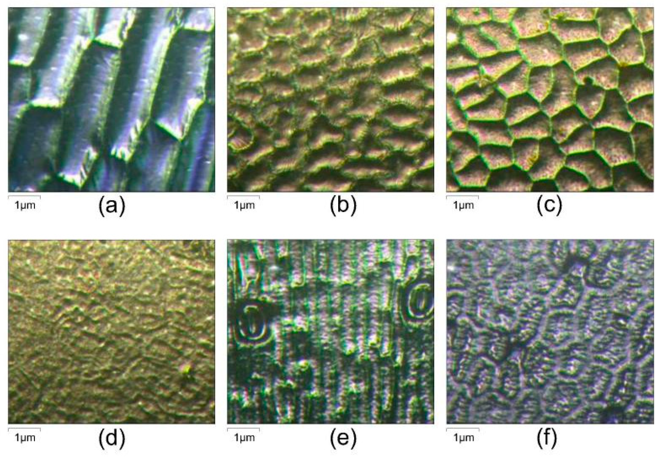 Sustainability Free Full Text Assisted Deposition Of Pm2 5