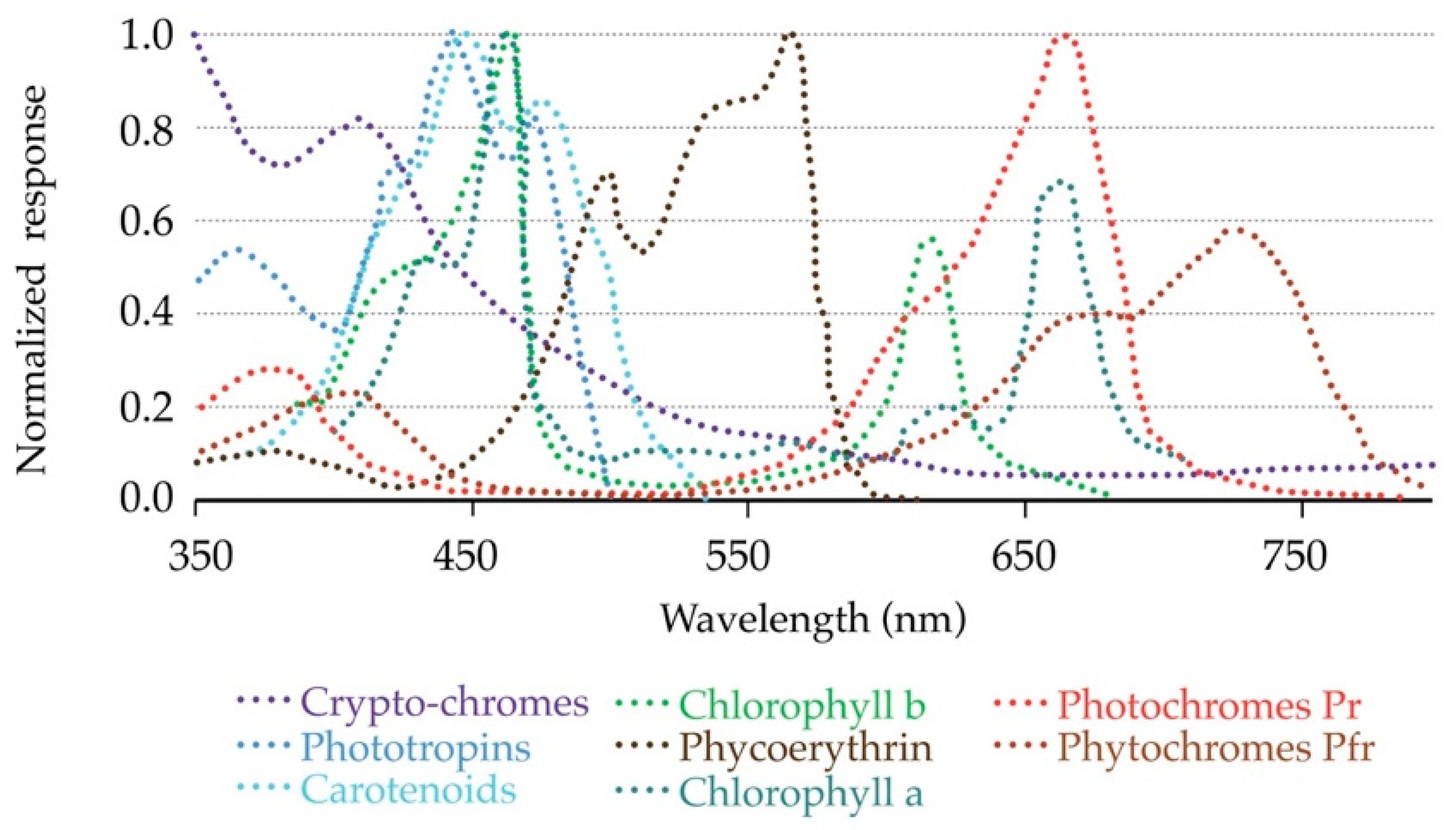 Sustainability 11 02642 g003