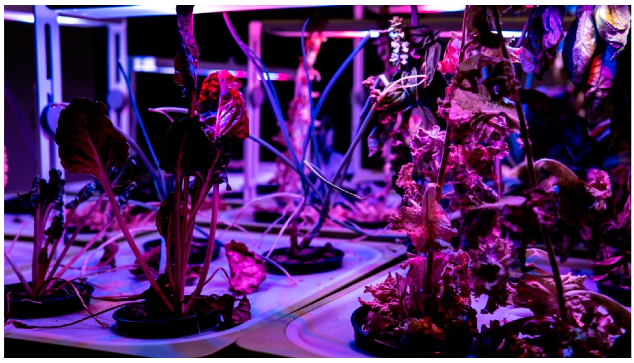 Sustainability 11 02642 g004