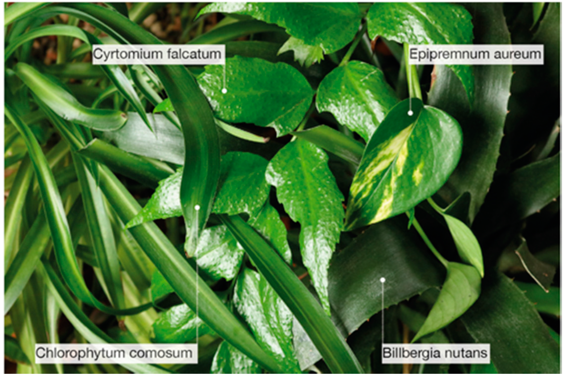 Sustainability 11 02642 g009