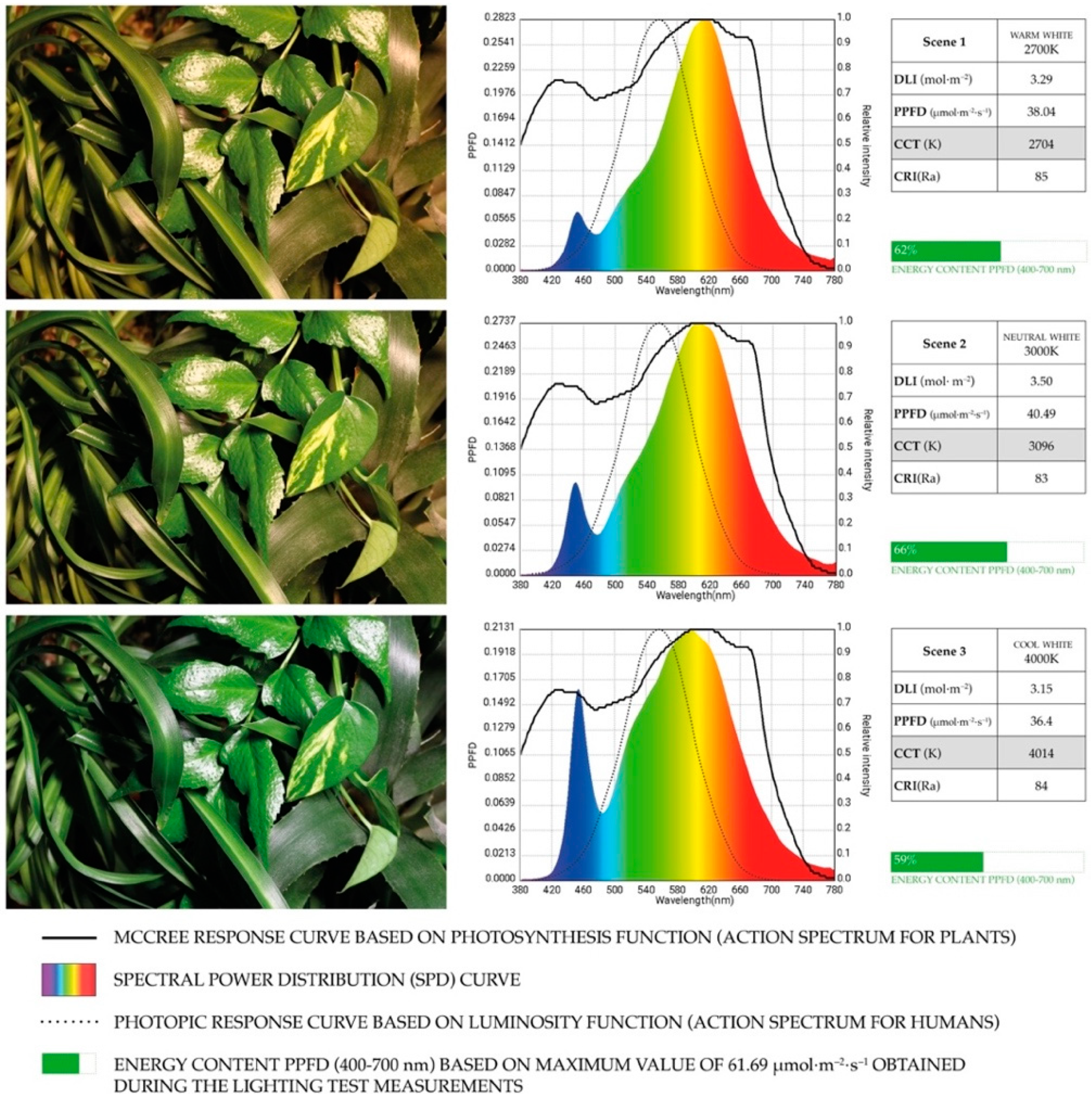 Sustainability 11 02642 g011
