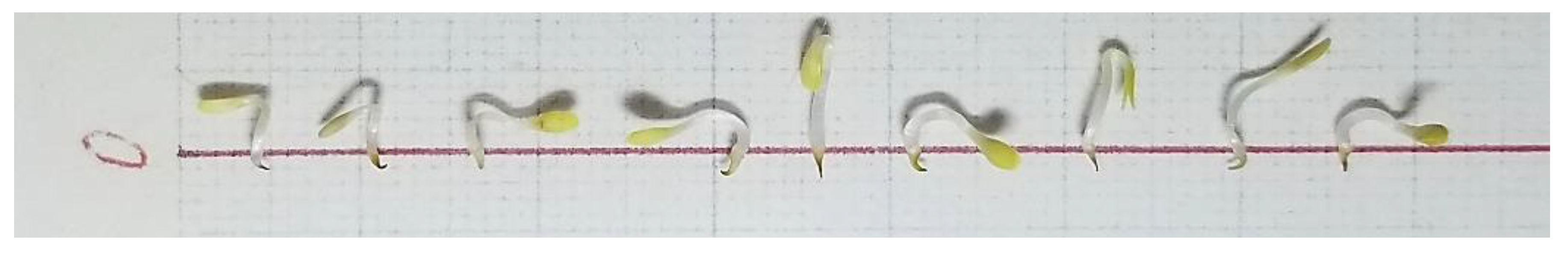 Sustainability 11 02649 g004