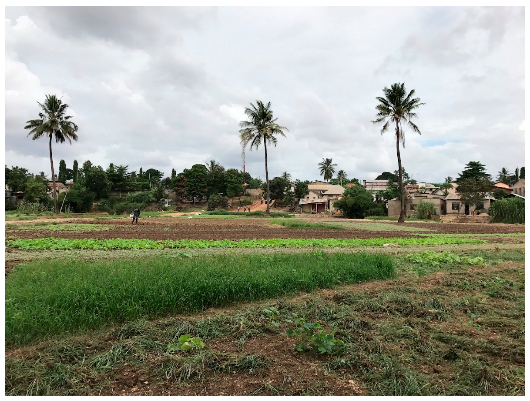 Sustainability 11 02729 g003 Sustainability 11 02729 g003