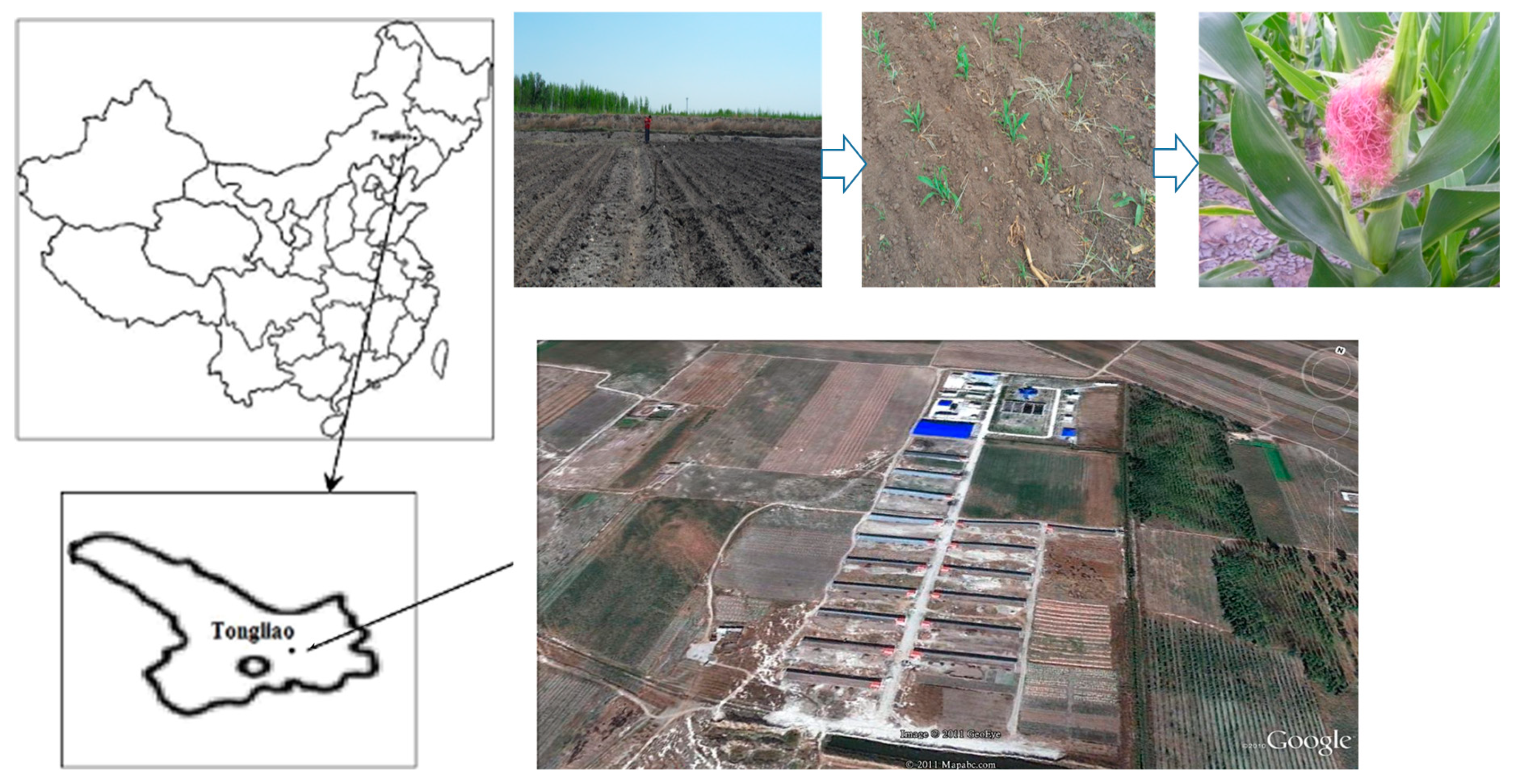 Sustainability 11 02743 g001 Sustainability 11 02743 g001