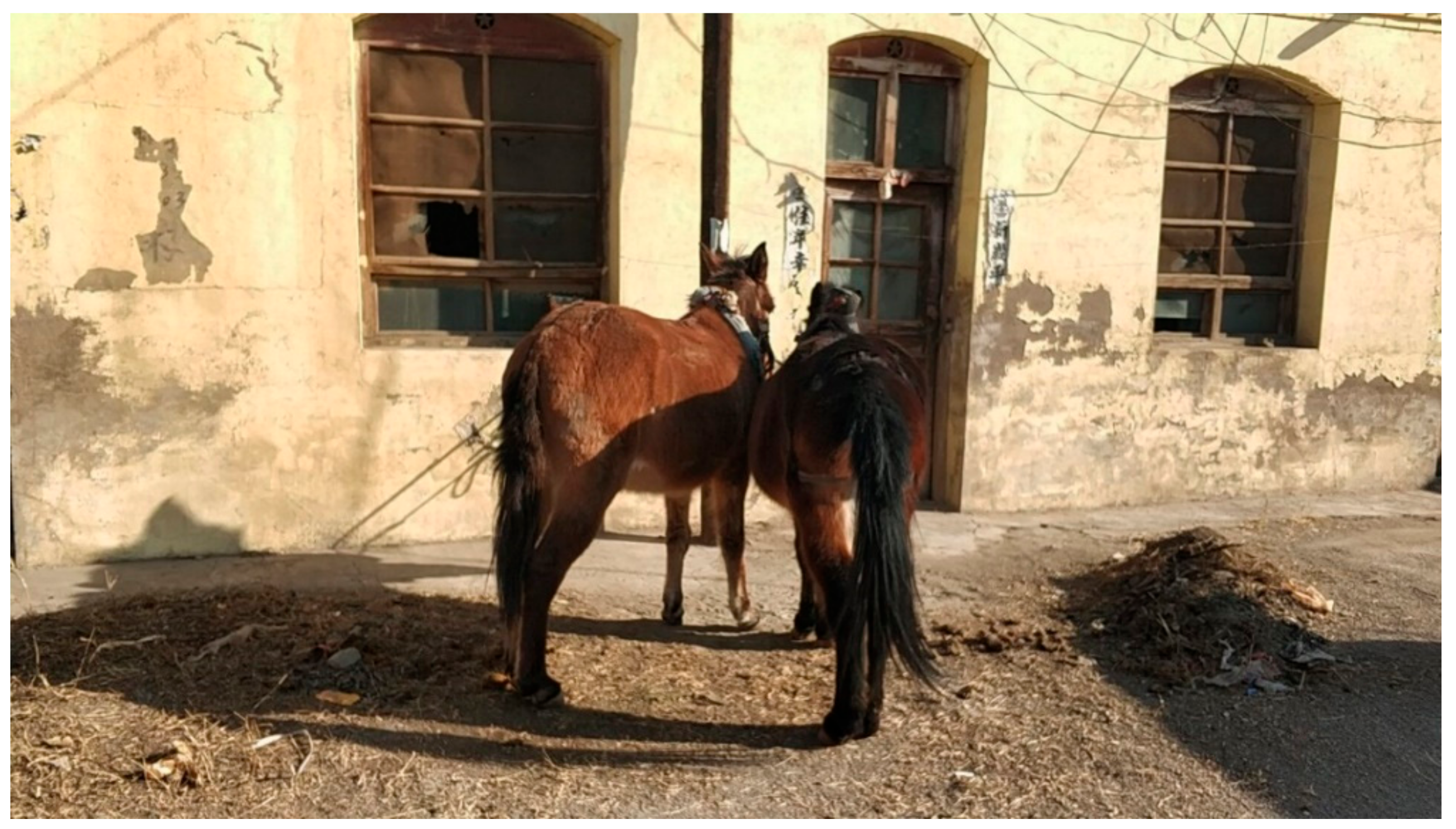 Sustainability 11 02764 g001 550