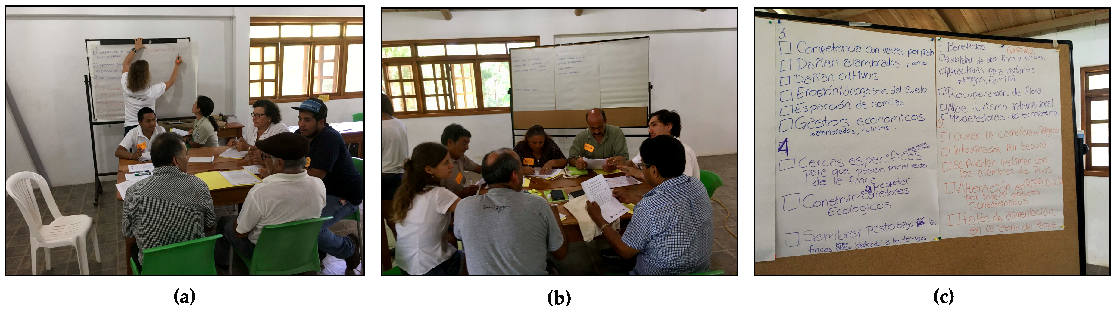 Sustainability 11 02937 g006 Sustainability 11 02937 g006