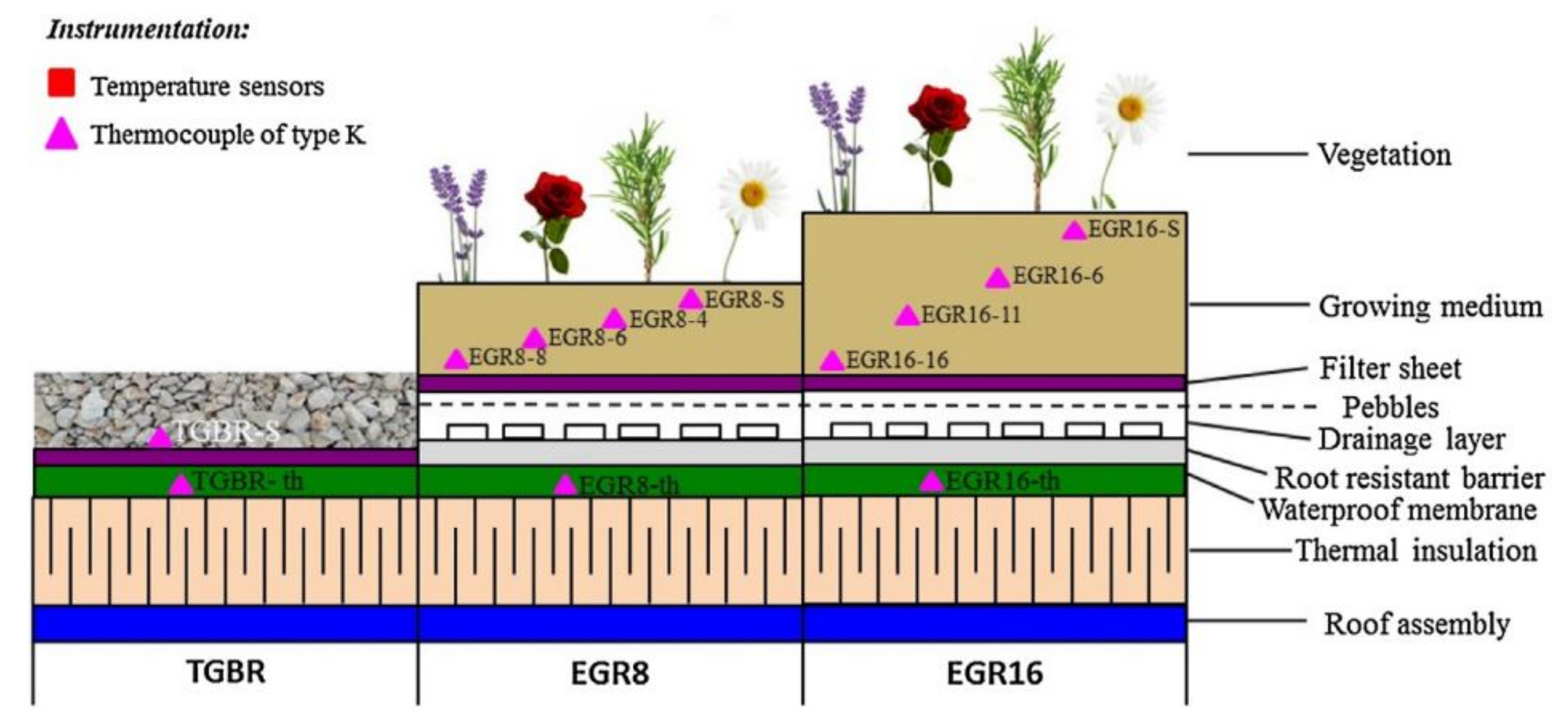 Steep slope covered with Sedum for erosion resistance - Sempergreen