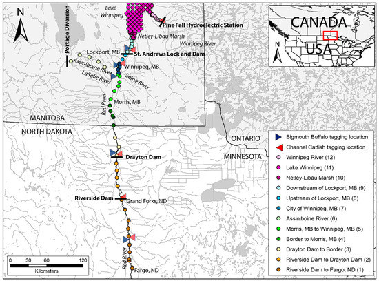 Sustainability Free Full Text Analysing Habitat Connectivity