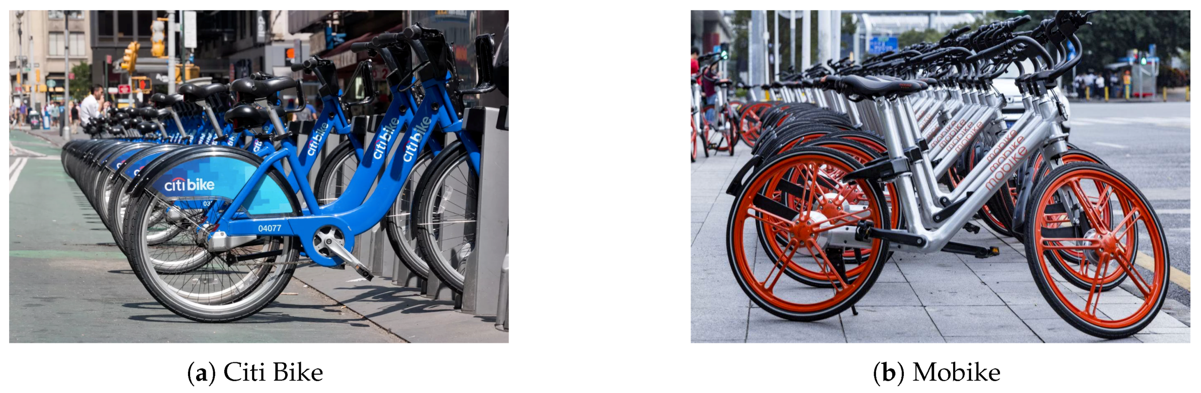 free citi bike