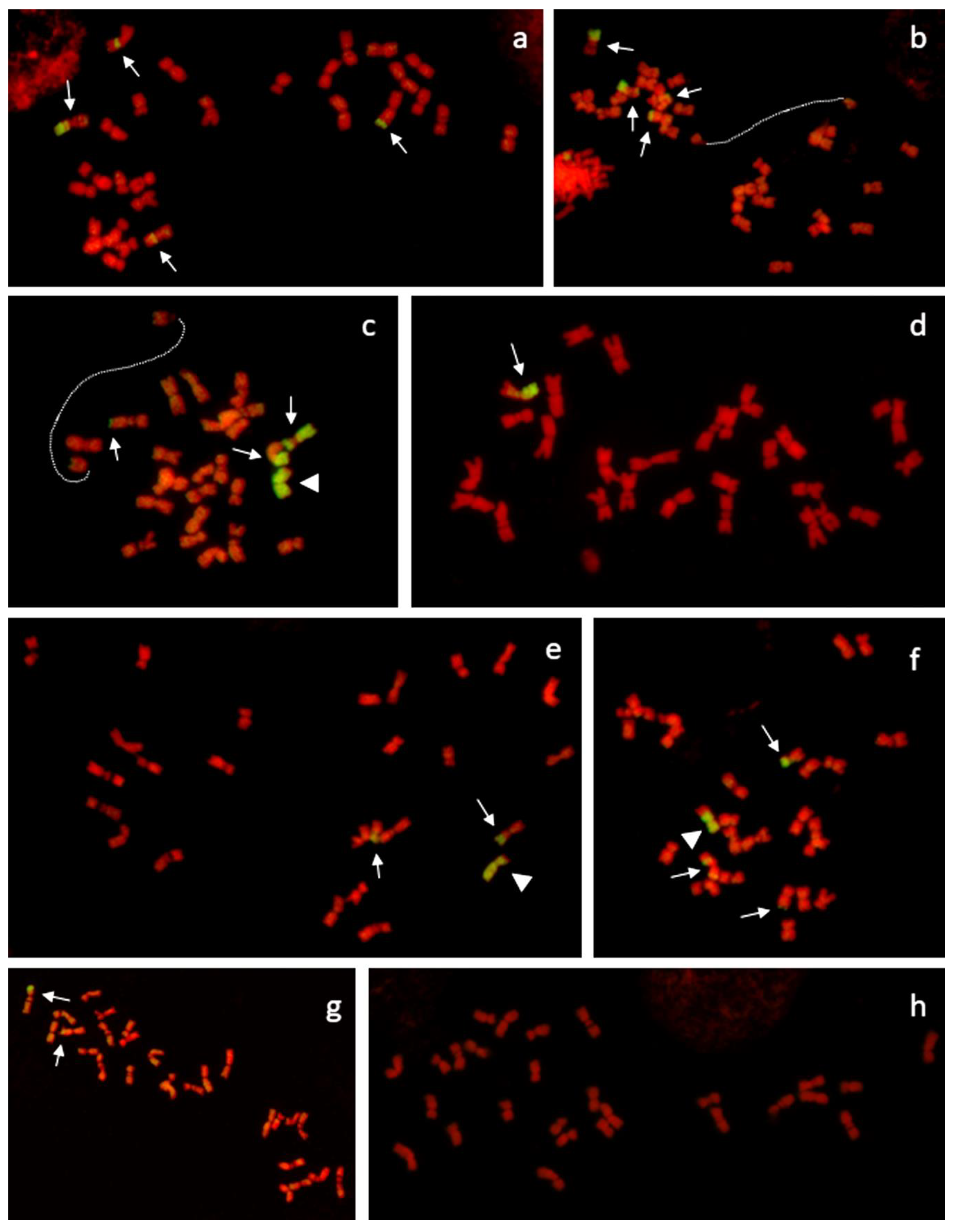 Sustainability 11 03153 g002 Sustainability 11 03153 g002