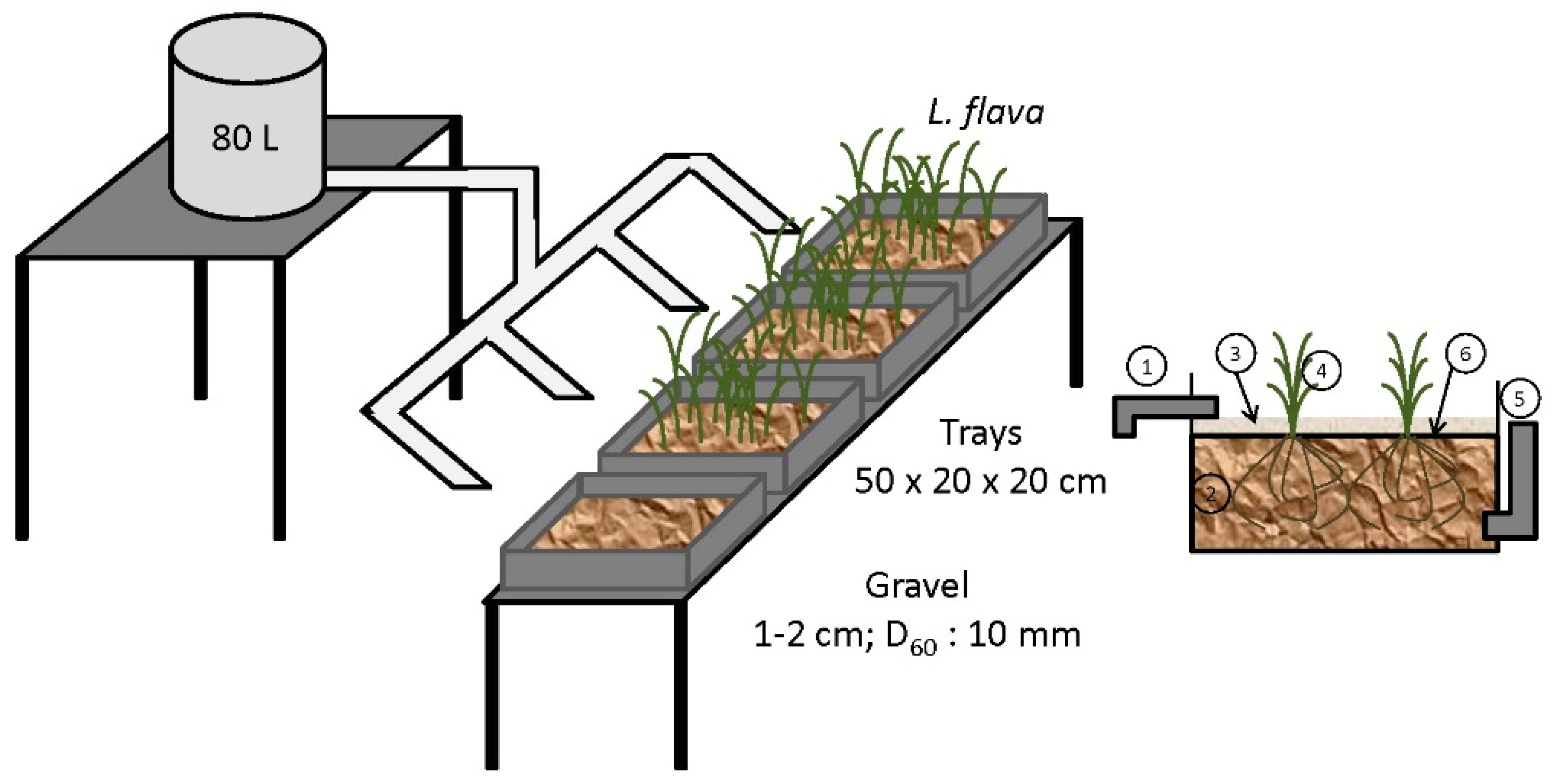 Sustainability 11 03307 g008