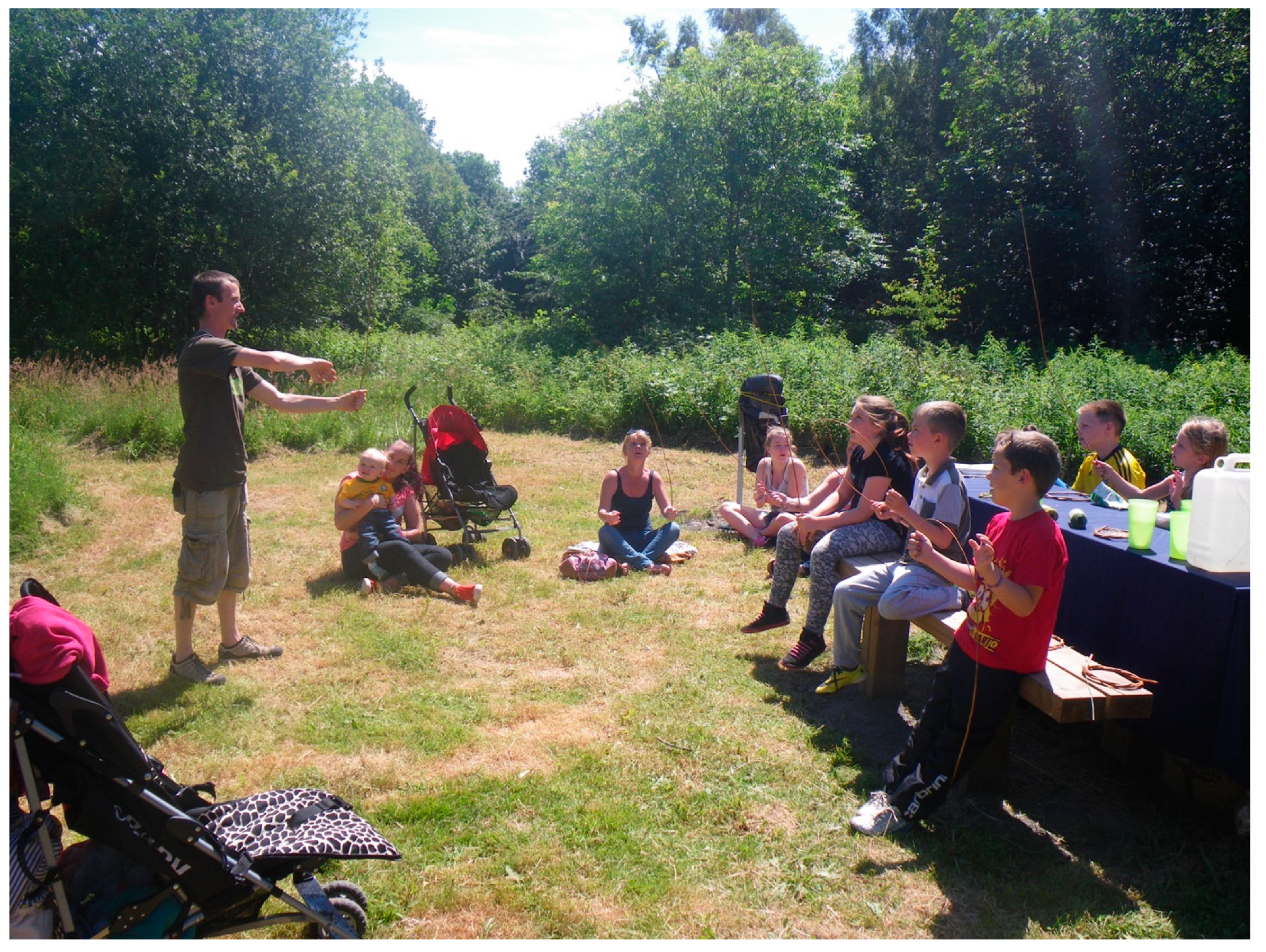 Sustainability 11 03317 g004