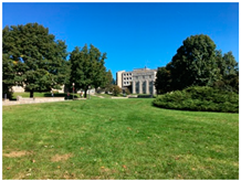 Sustainability 11 03326 i002 Sustainability 11 03326 i002