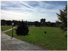 Sustainability 11 03326 i008 Sustainability 11 03326 i008