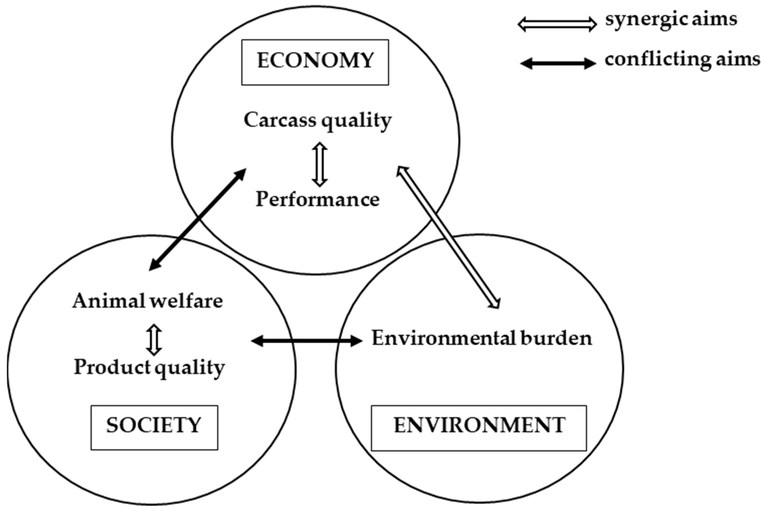 Sustainability 11 03335 g001