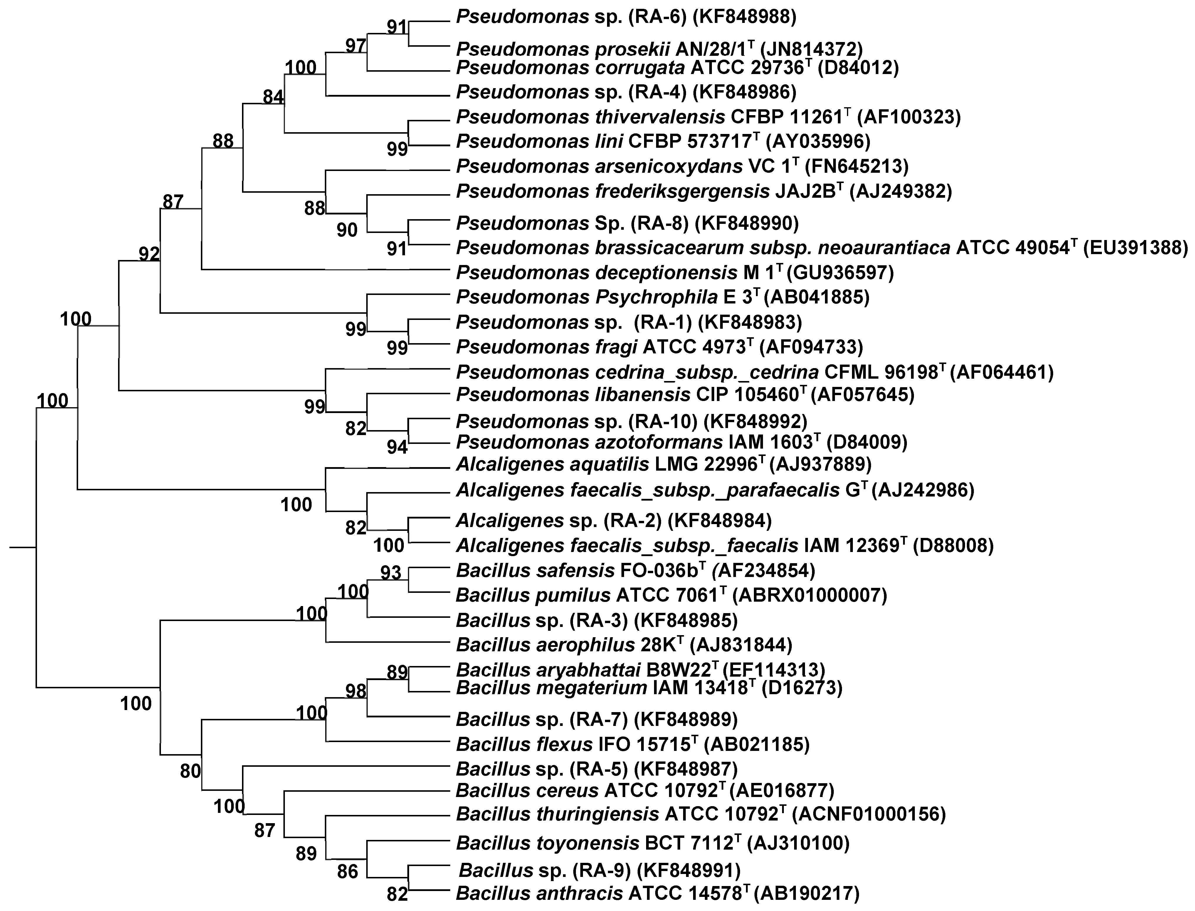 Sustainability 11 03361 g001
