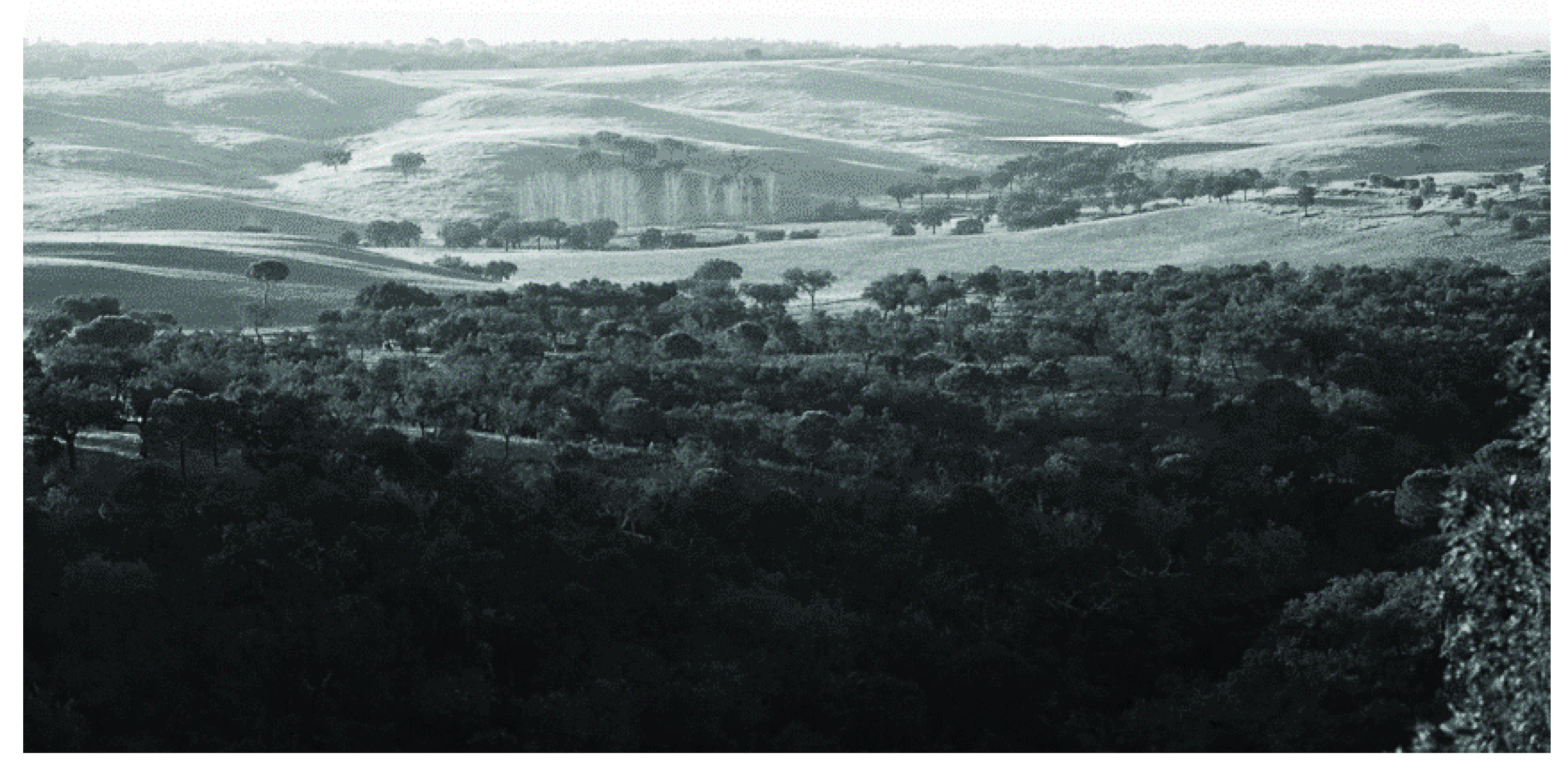 Sustainability 11 03363 g002