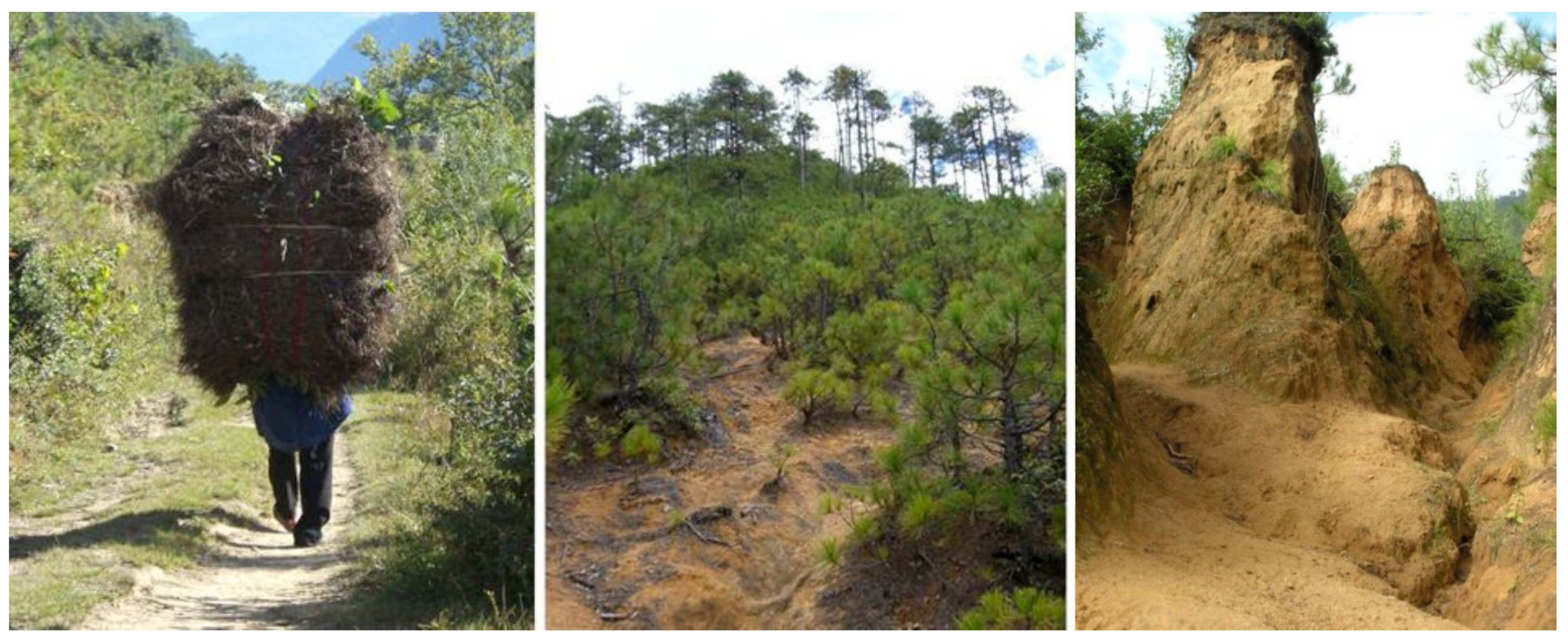 Sustainability 11 03447 g004