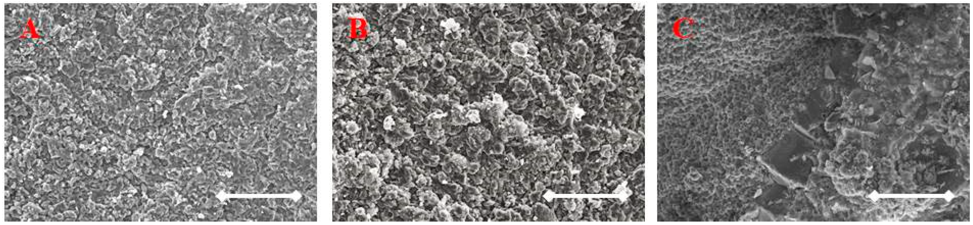 Sustainability 11 03481 g007 550