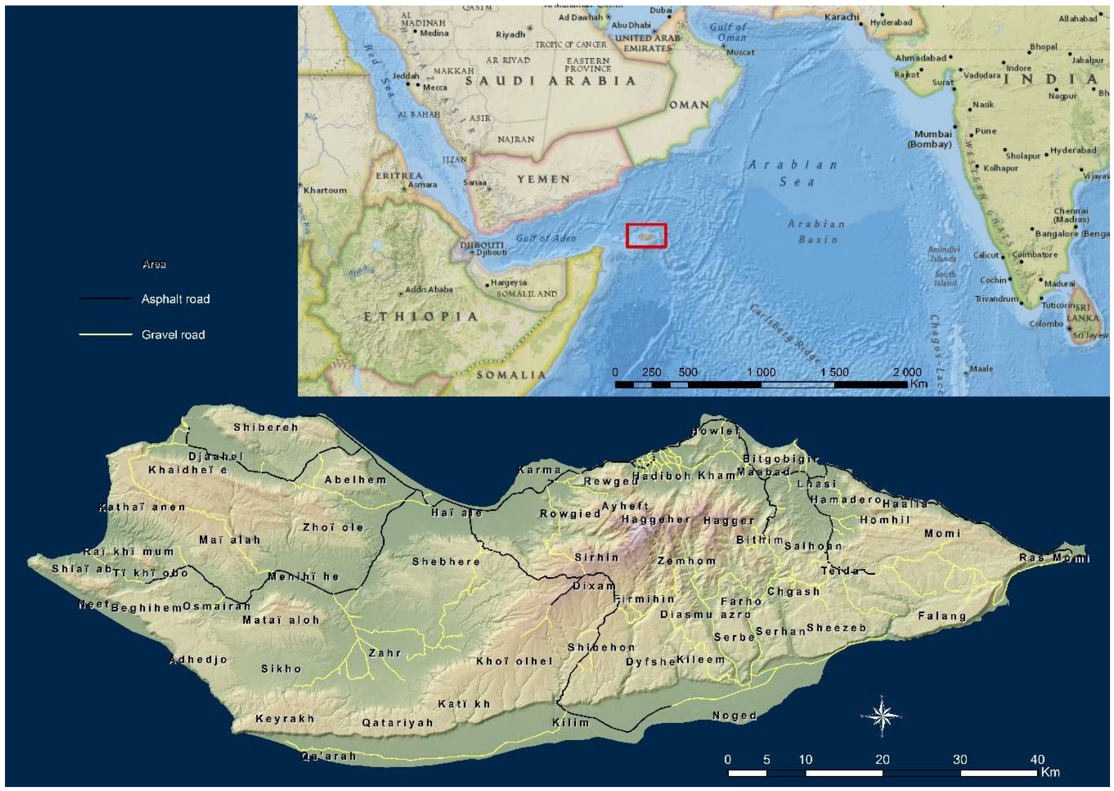 Sustainability Free Full Text Sustainable Land Use Management Needed To Conserve The Dragon S Blood Tree Of Socotra Island A Vulnerable Endemic Umbrella Species Html Sustainability Free Full Text Sustainable Land Use Management Needed To Conserve The Dragon S Blood Tree Of Socotra Island A Vulnerable Endemic Umbrella Species Html