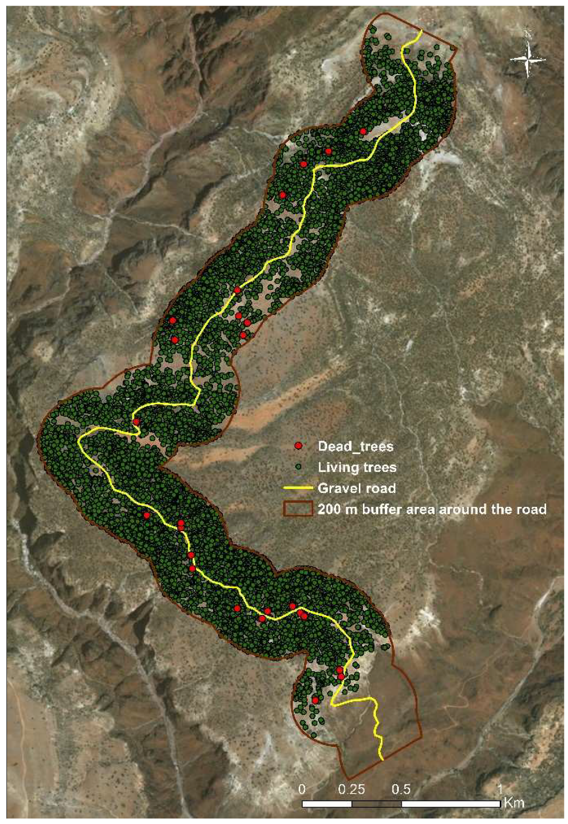 Sustainability Free Full Text Sustainable Land Use Management Needed To Conserve The Dragon S Blood Tree Of Socotra Island A Vulnerable Endemic Umbrella Species Html Sustainability Free Full Text Sustainable Land Use Management Needed To Conserve The Dragon S Blood Tree Of Socotra Island A Vulnerable Endemic Umbrella Species Html