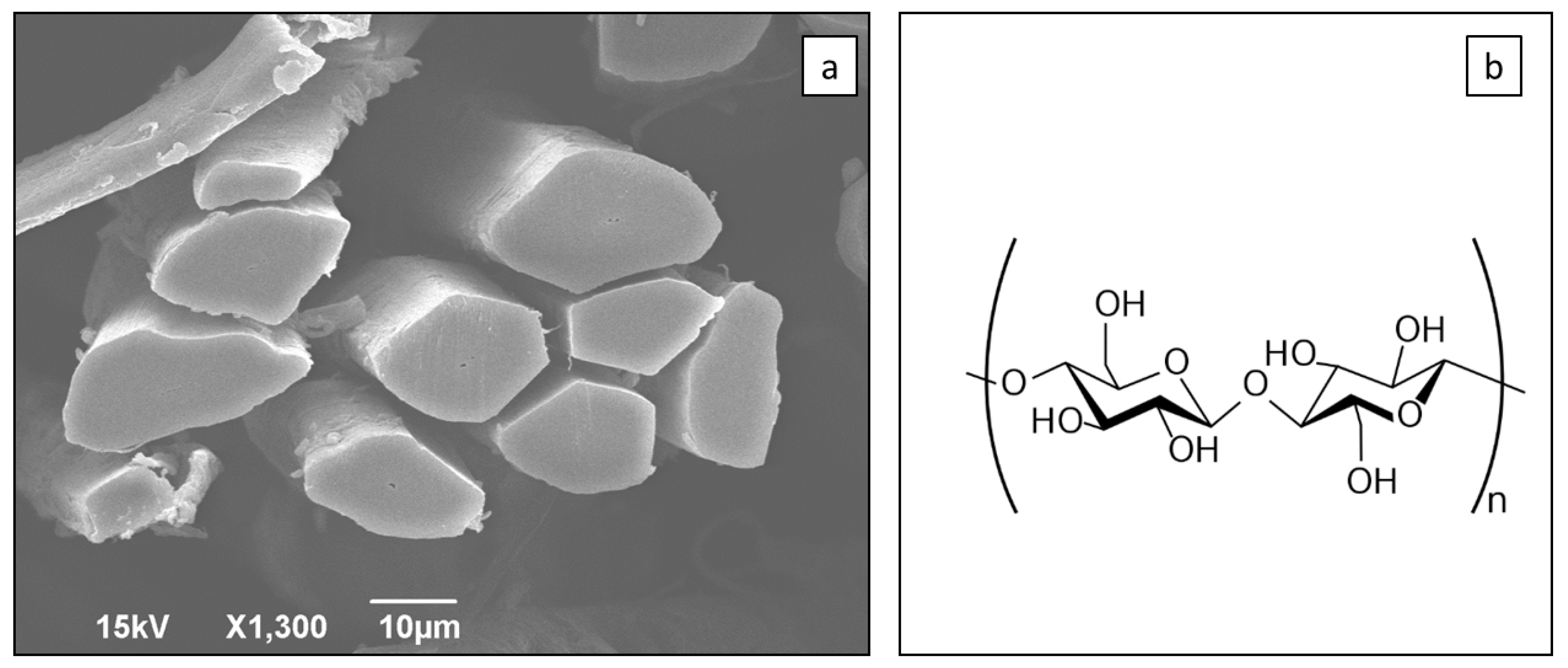 Sustainability 11 03558 g001 Sustainability 11 03558 g001