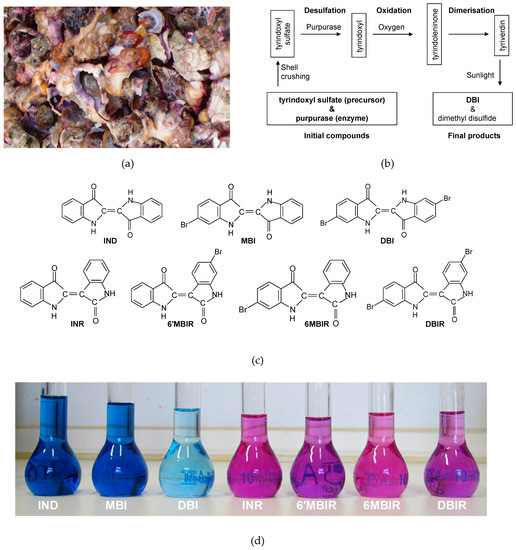 Download Sustainability Free Full Text A Review On The Archaeological Chemistry Of Shellfish Purple Html PSD Mockup Templates
