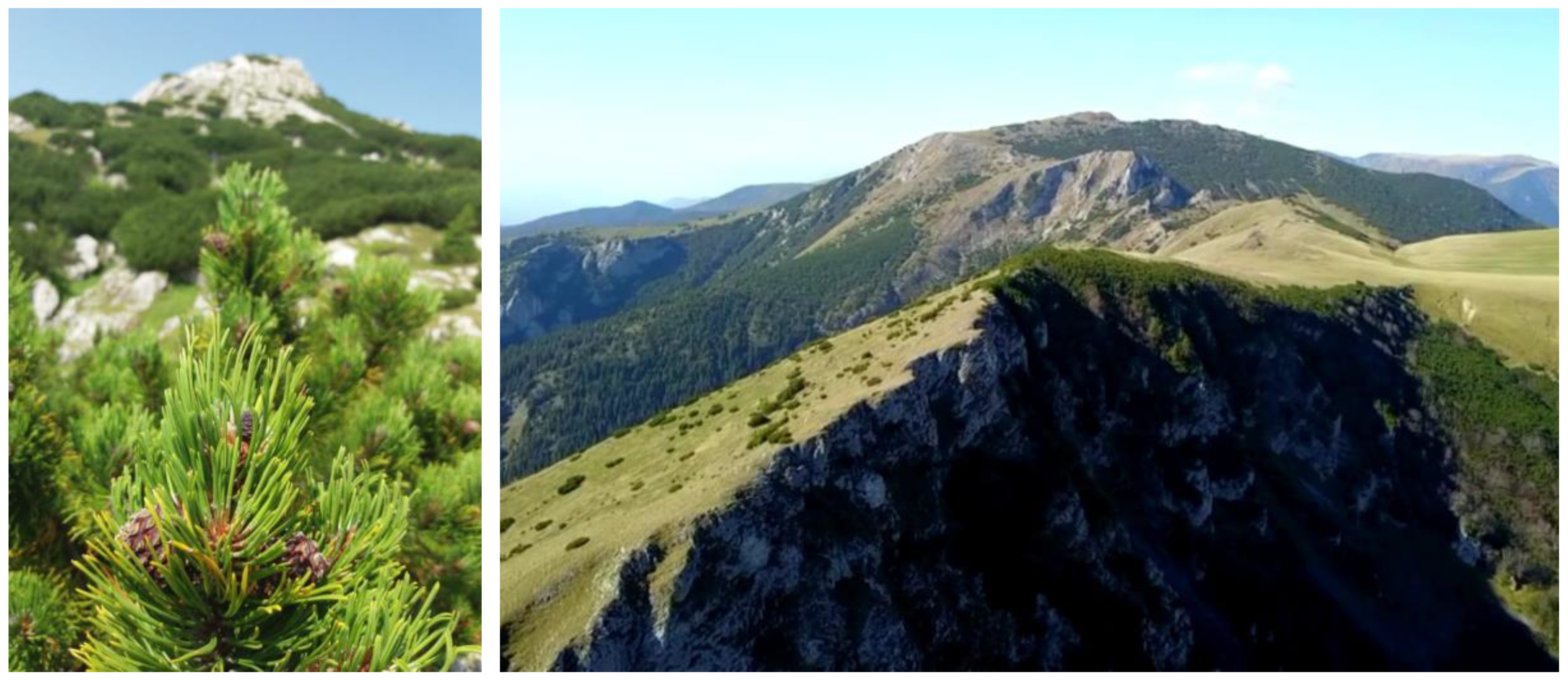 Sustainability 11 03678 g002