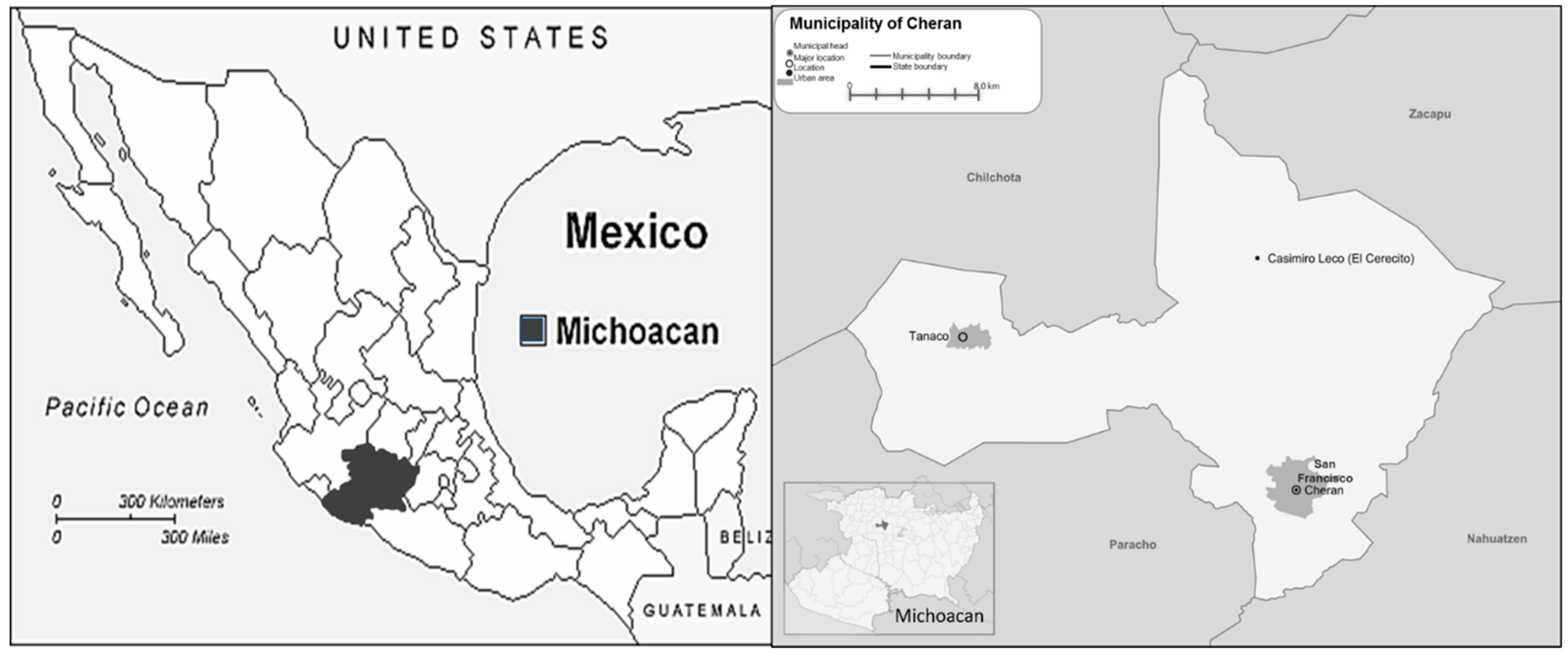 Sustainability 11 03779 g001 550