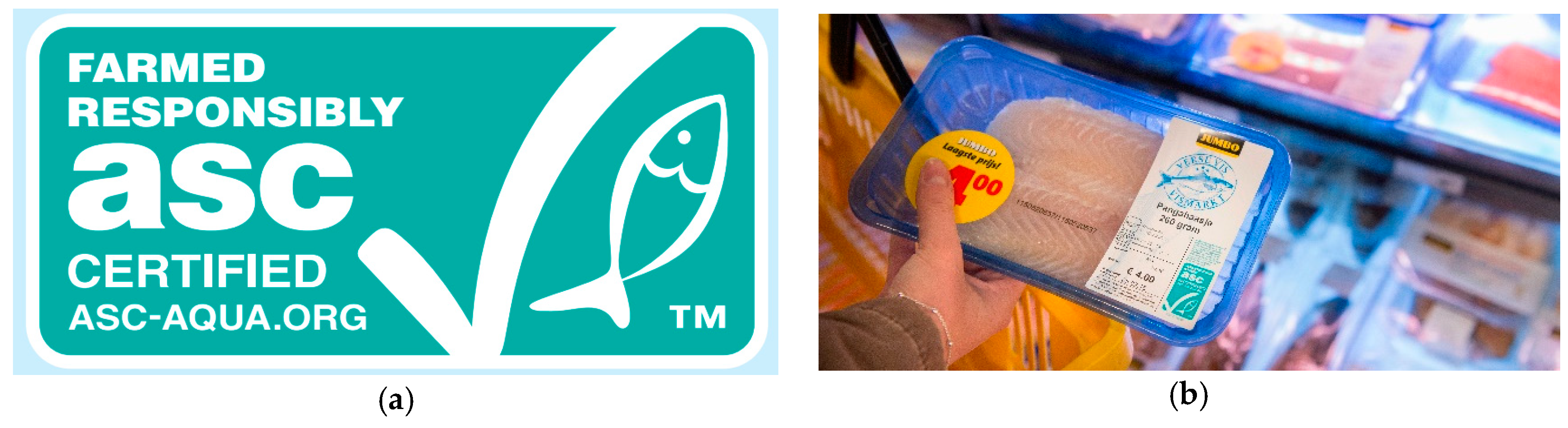 Sustainability 11 03840 g002