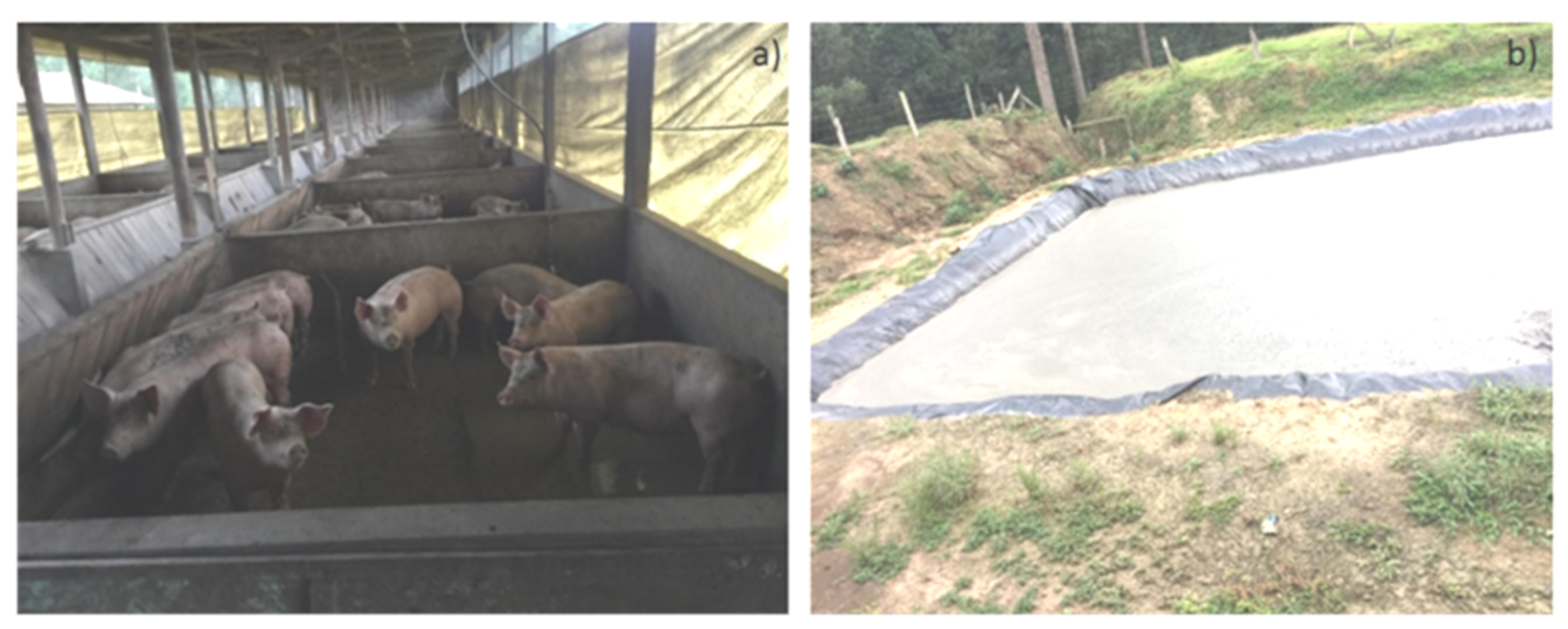 Sustainability 11 03898 g002 Sustainability 11 03898 g002