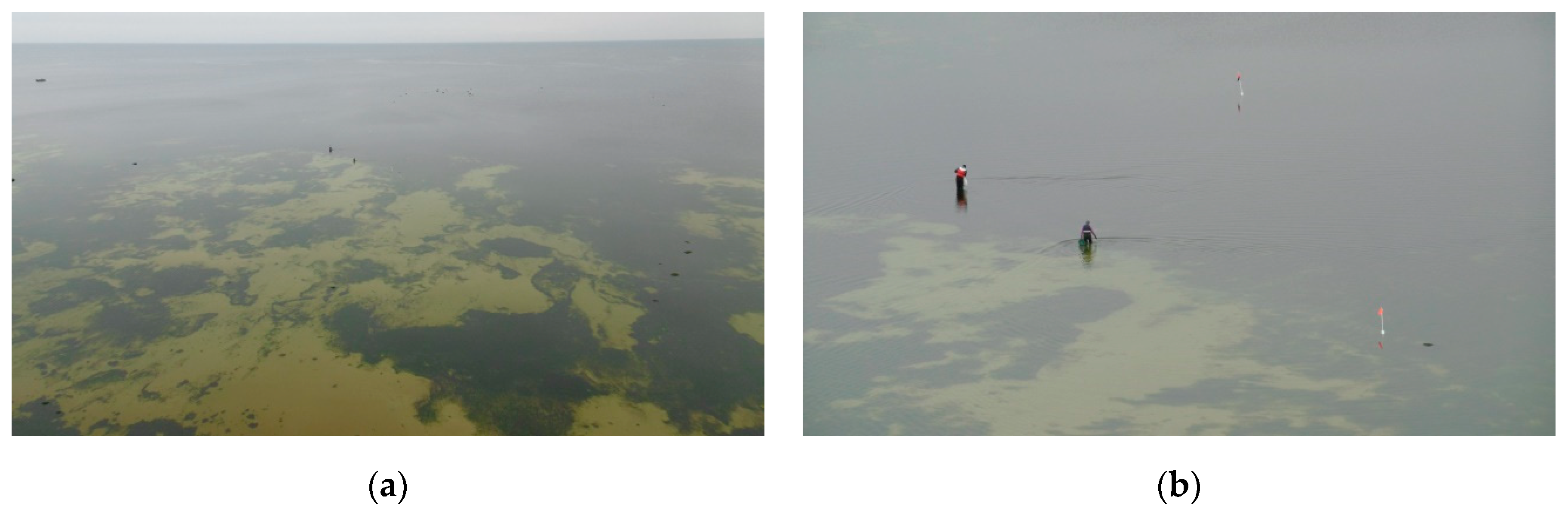 Sustainability 11 03951 g004