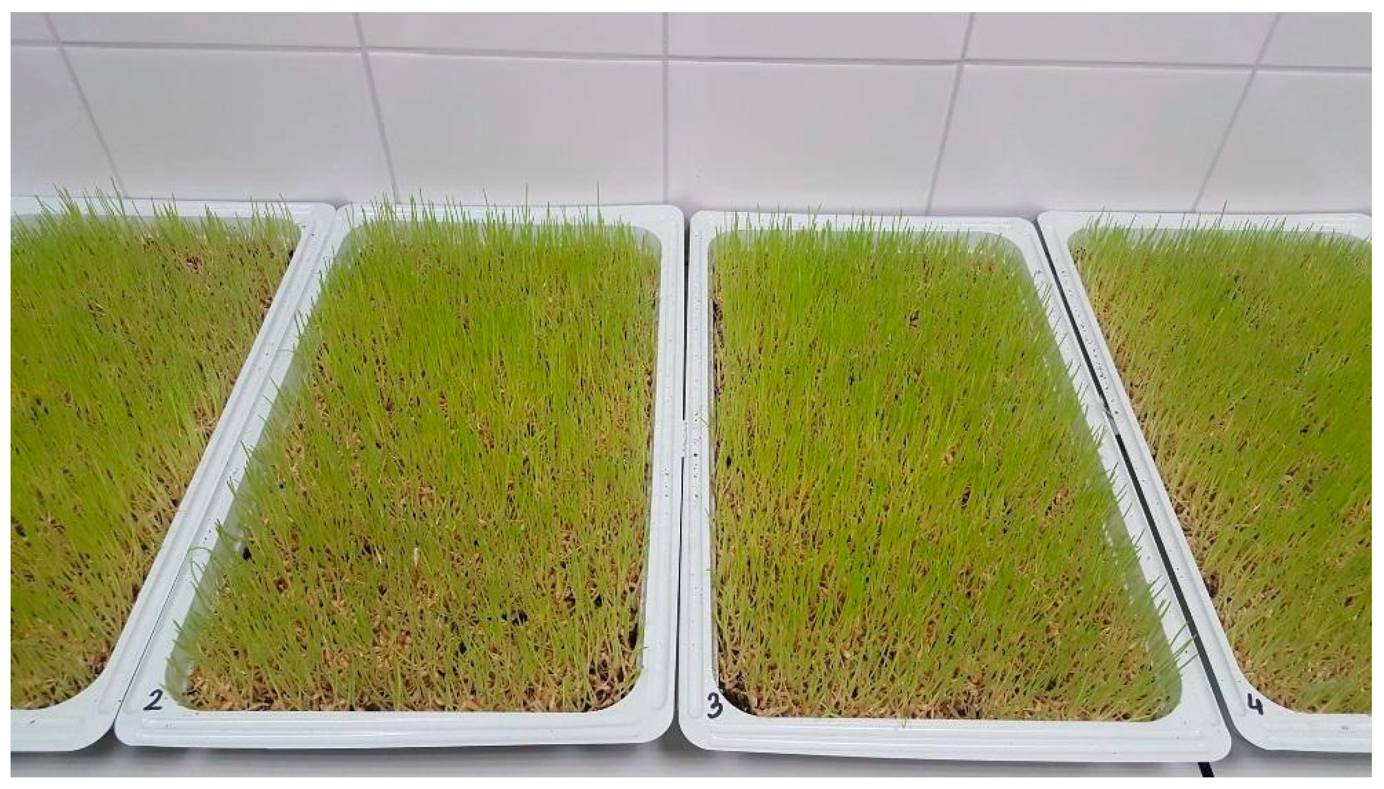 Sustainability 11 03960 g001 Sustainability 11 03960 g001