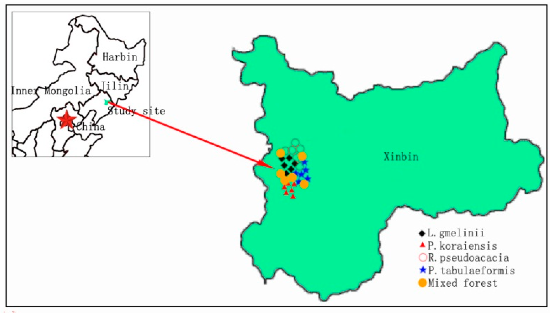 Sustainability 11 04075 g001 Sustainability 11 04075 g001