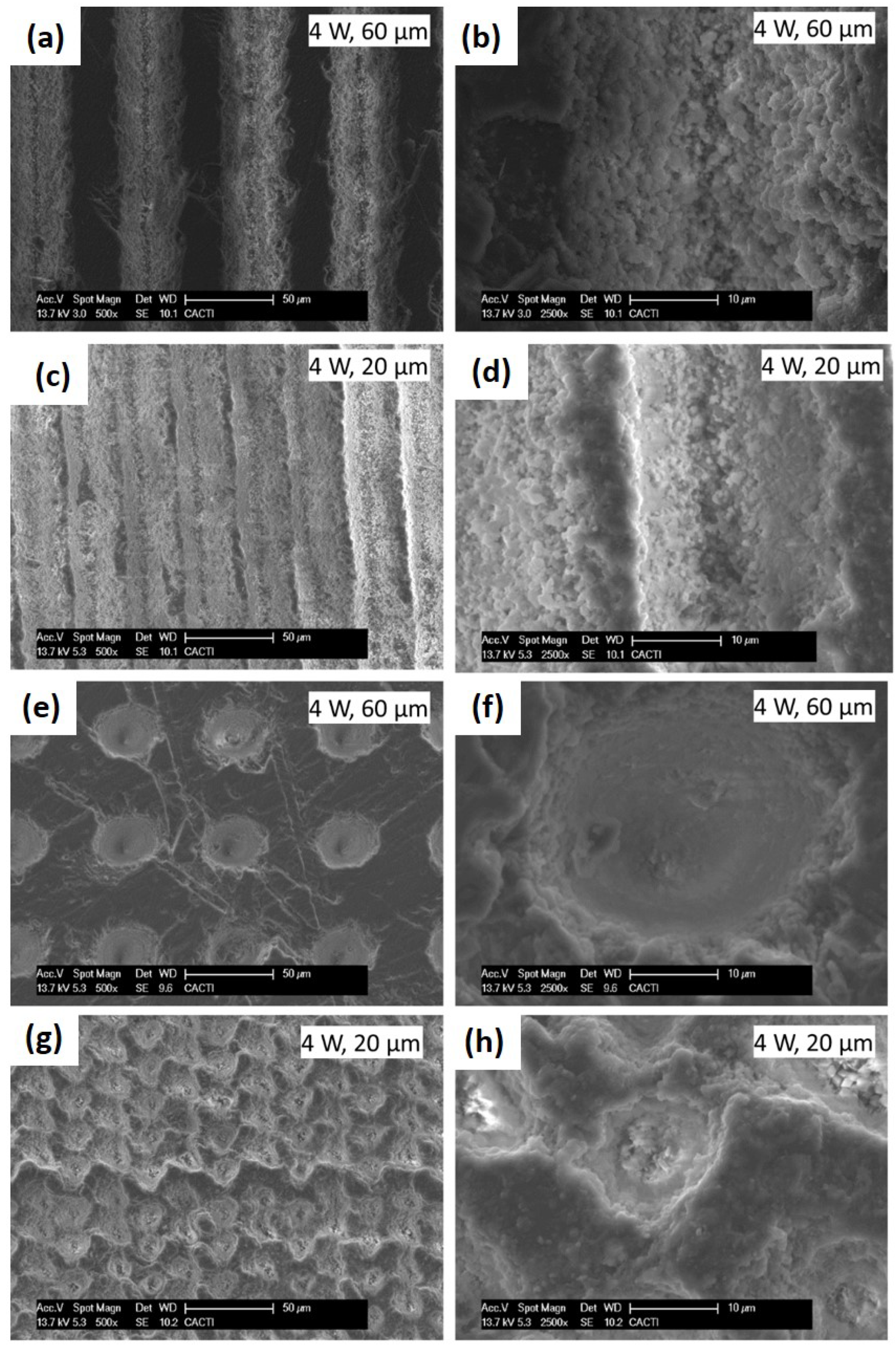 Sustainability 11 04079 g004