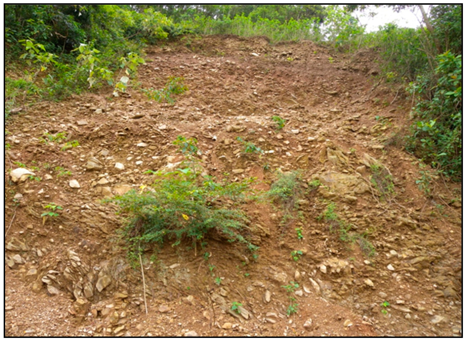 Sustainability 11 04107 g006