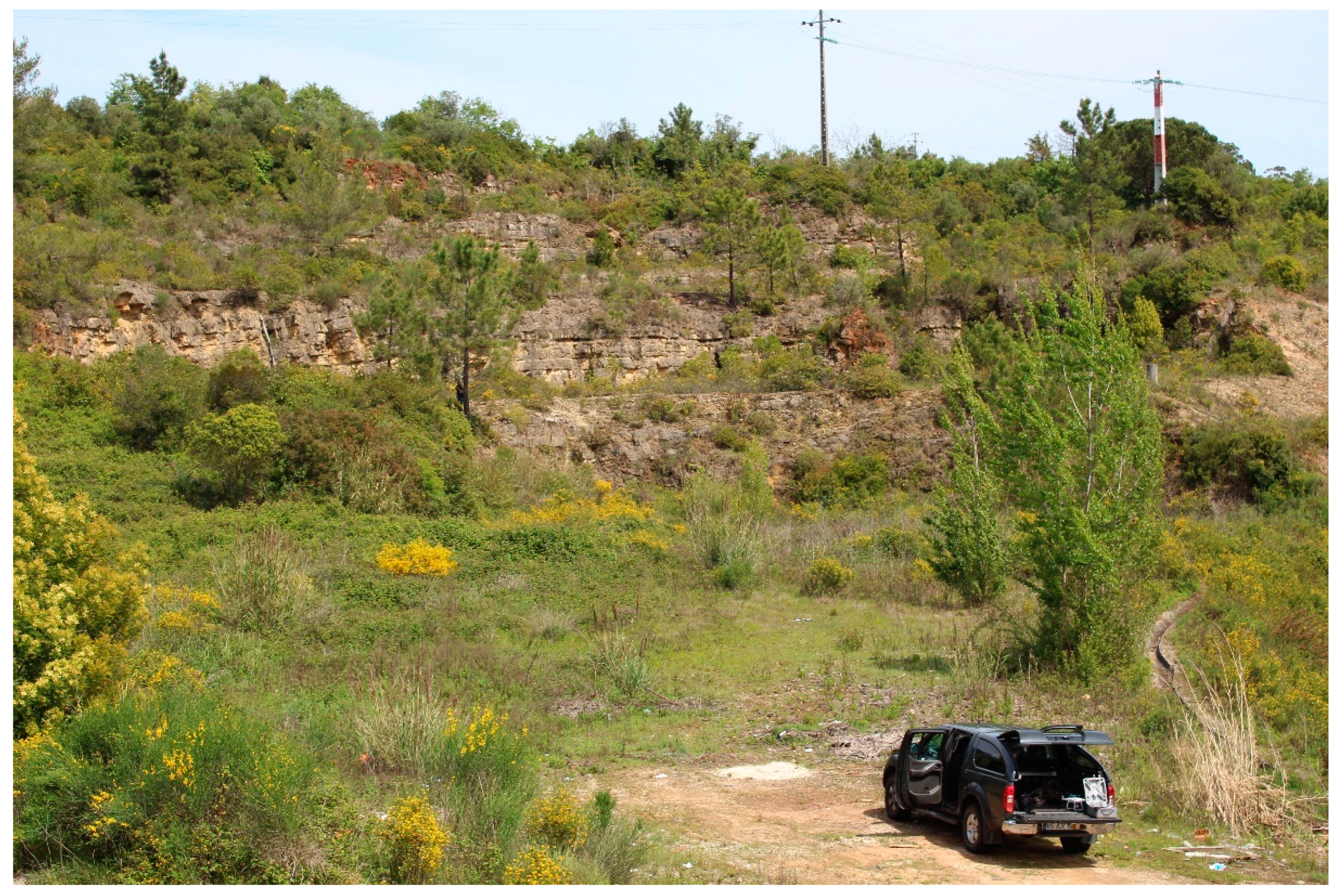 Sustainability 11 04158 g011 550