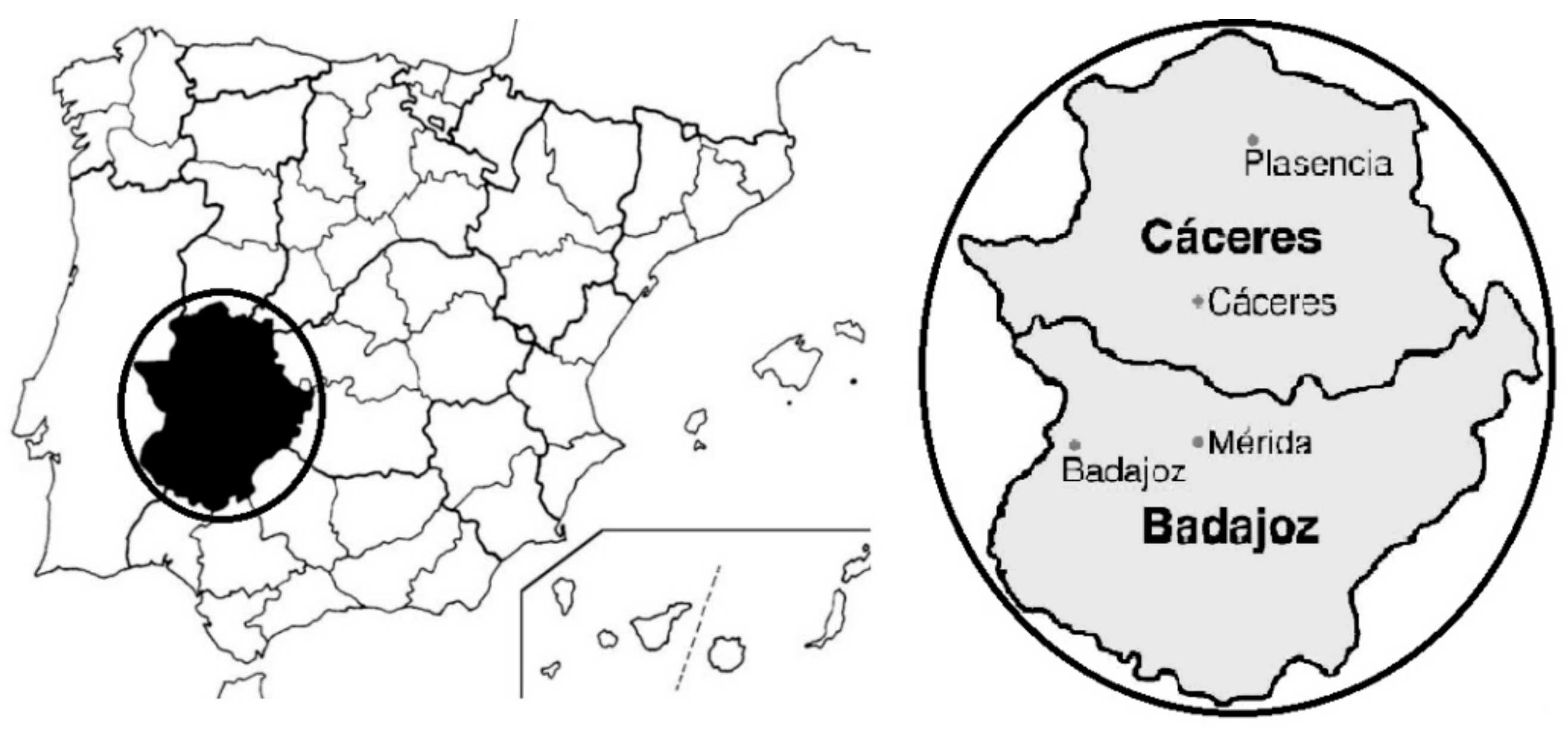 Sustainability 11 04191 g002