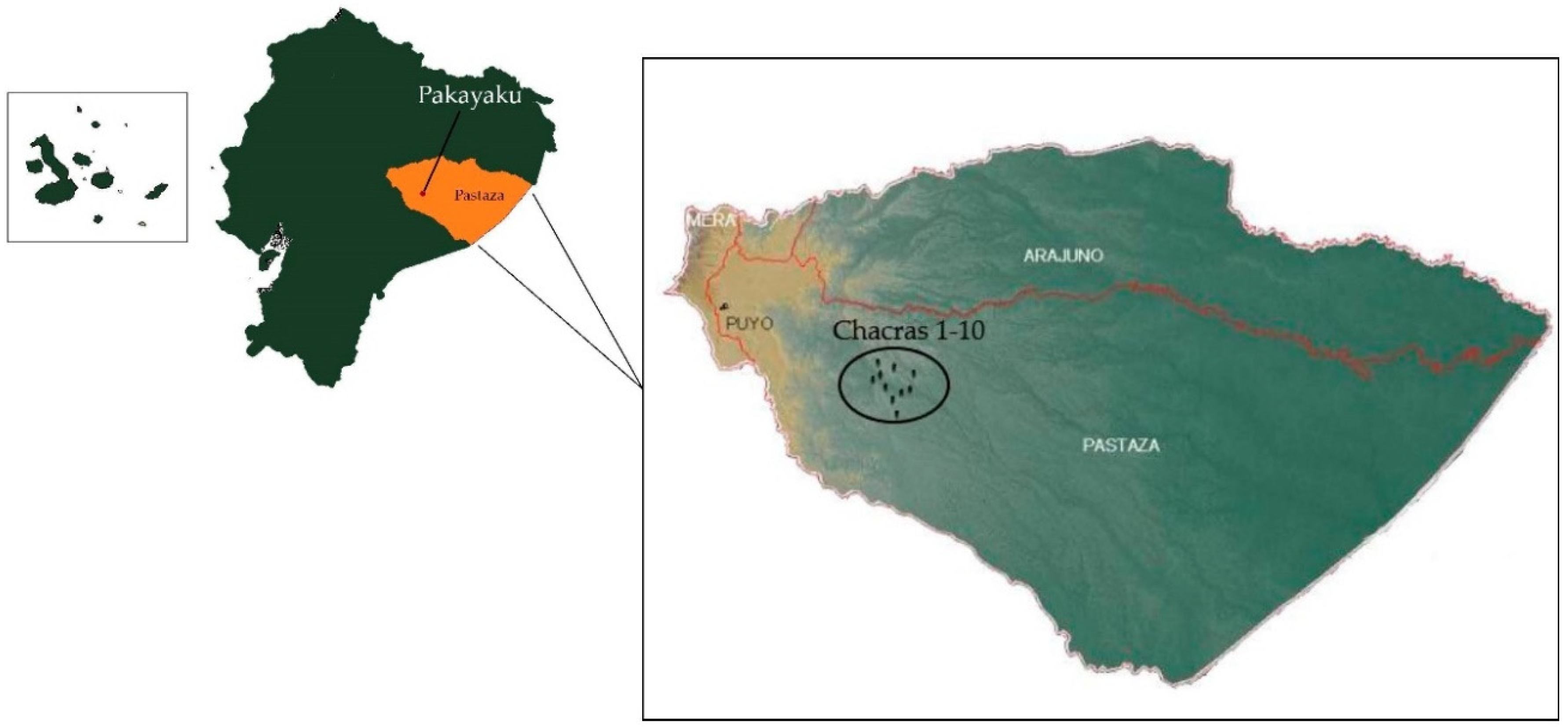 Sustainability 11 04211 g002 Sustainability 11 04211 g002