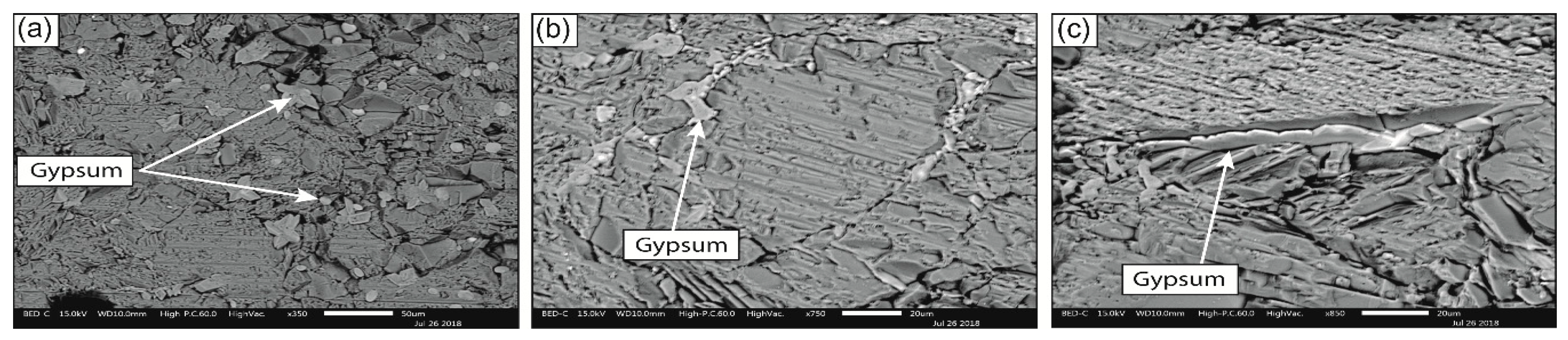 Sustainability 11 04229 g010 550