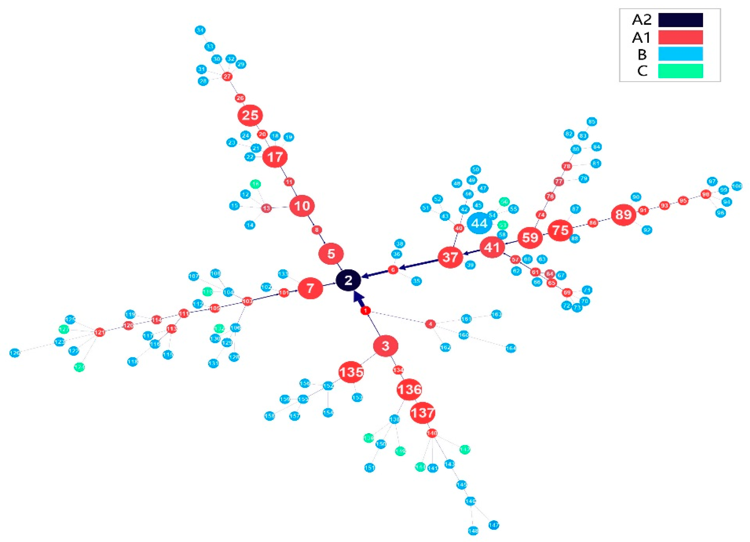 Clusters network. Клипарт транспортная сеть. Node graph. Cluster scheme. Random graphs.