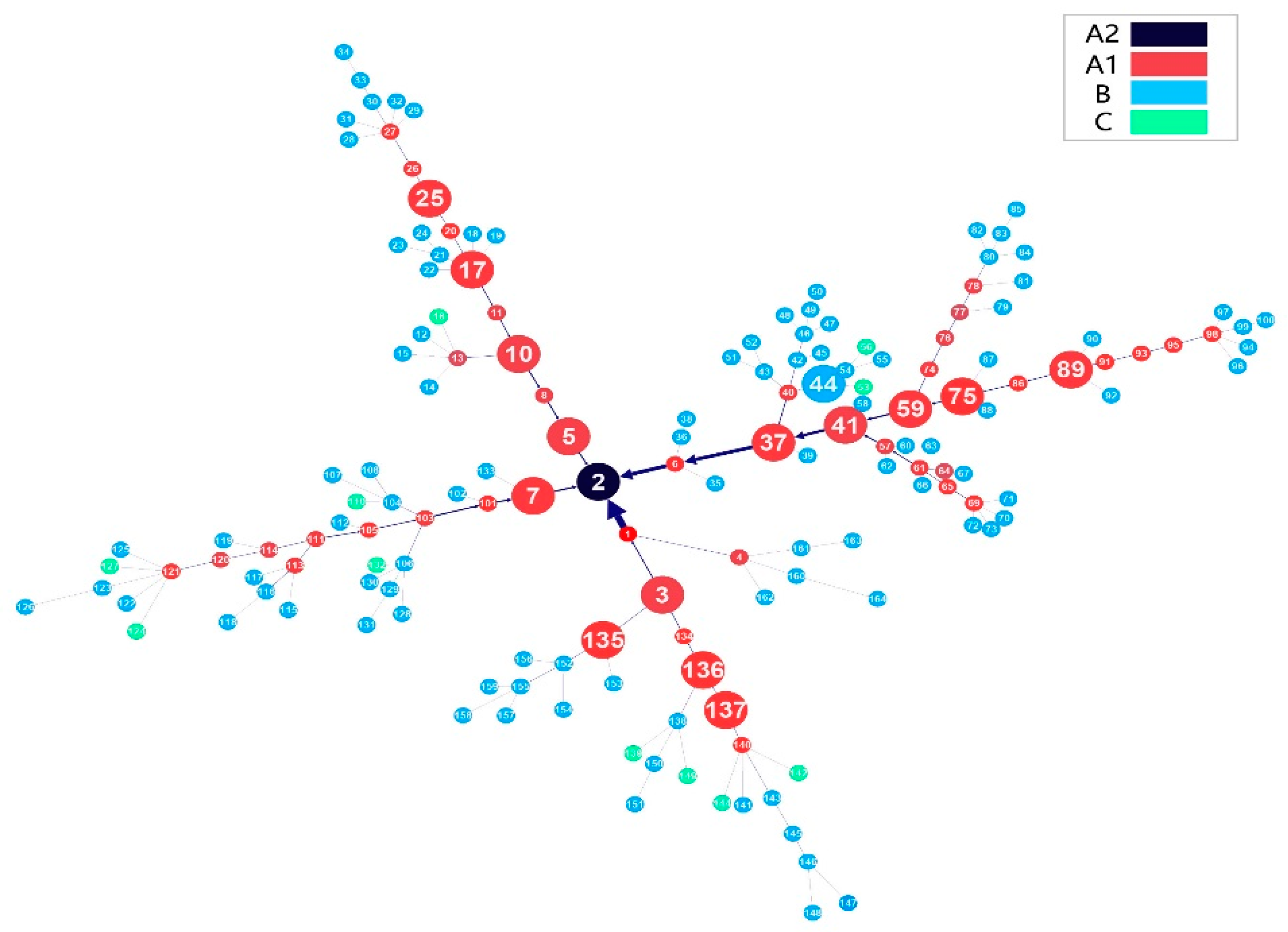 Graph model. Клипарт транспортная сеть. Cluster scheme. Cut of the Flow graph visualization.