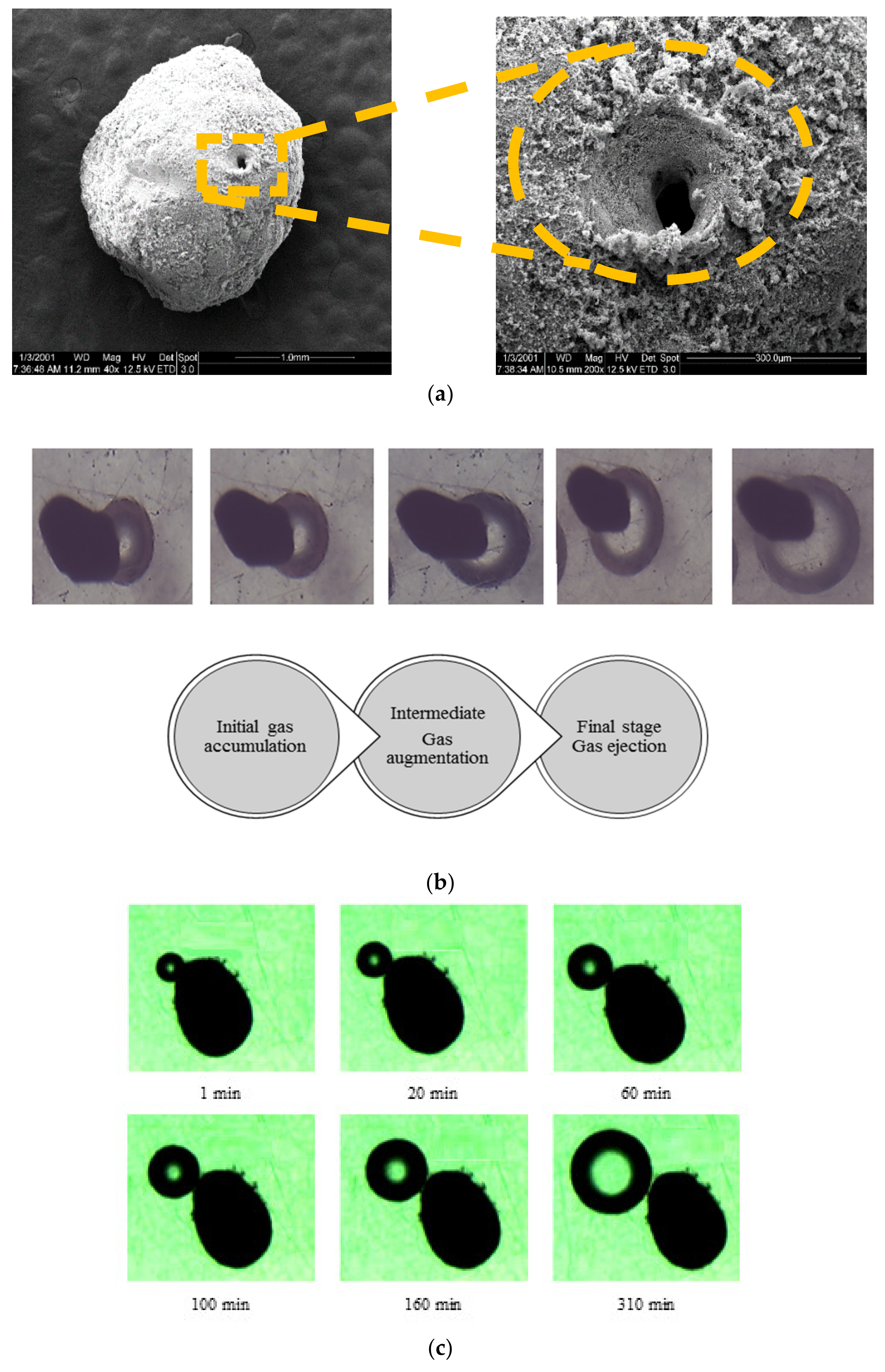Sustainability 11 04443 g005 Sustainability 11 04443 g005