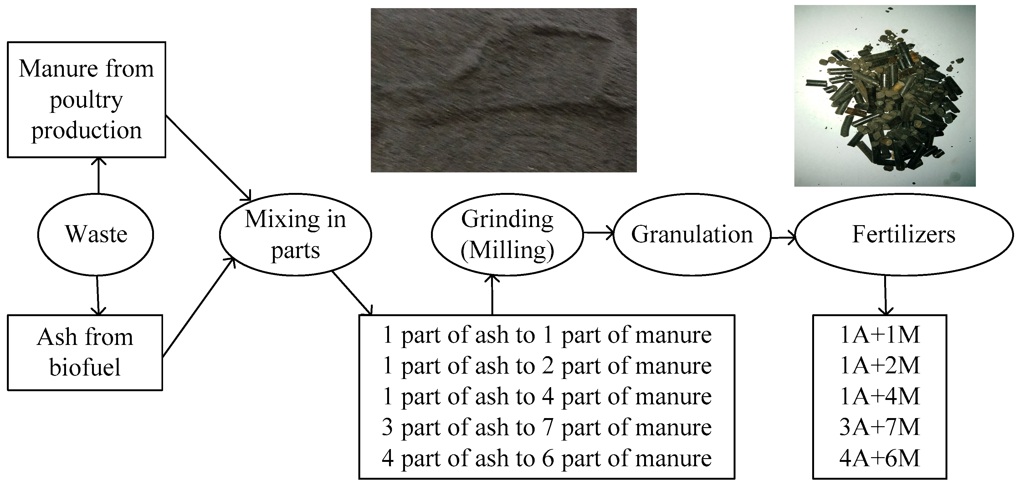 Sustainability 11 04466 g002