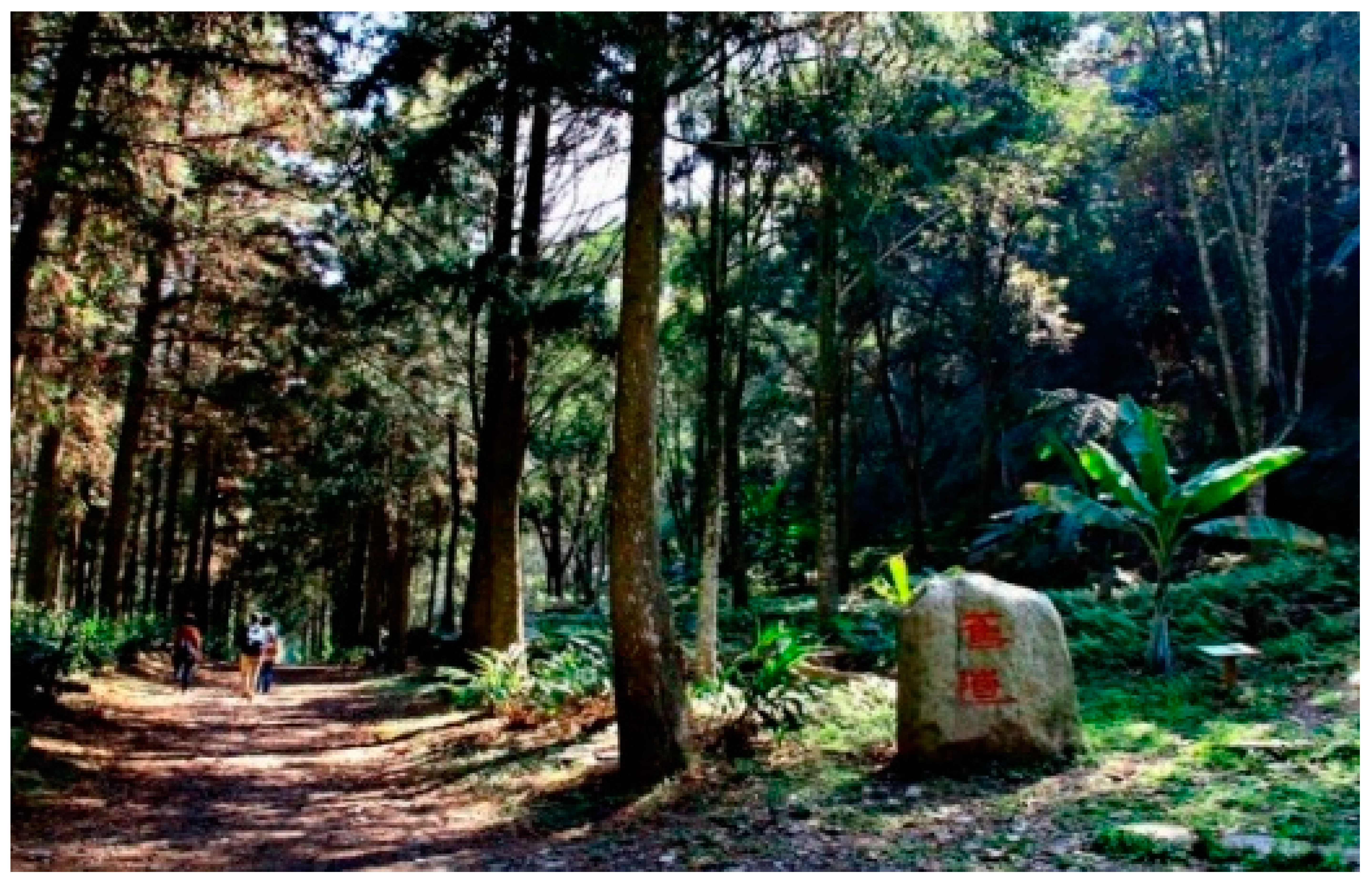 Sustainability 11 04500 i005