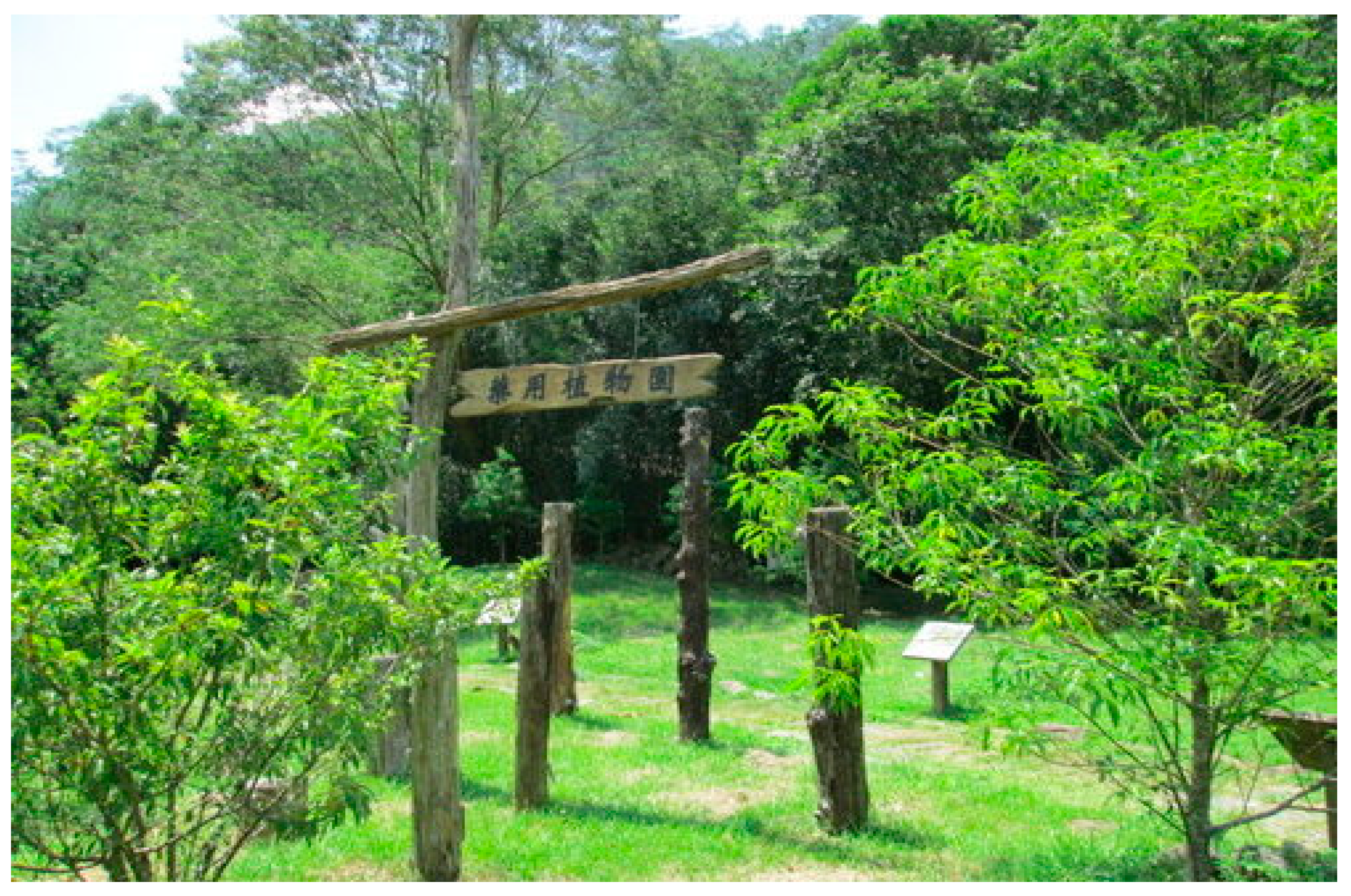 Sustainability 11 04500 i007