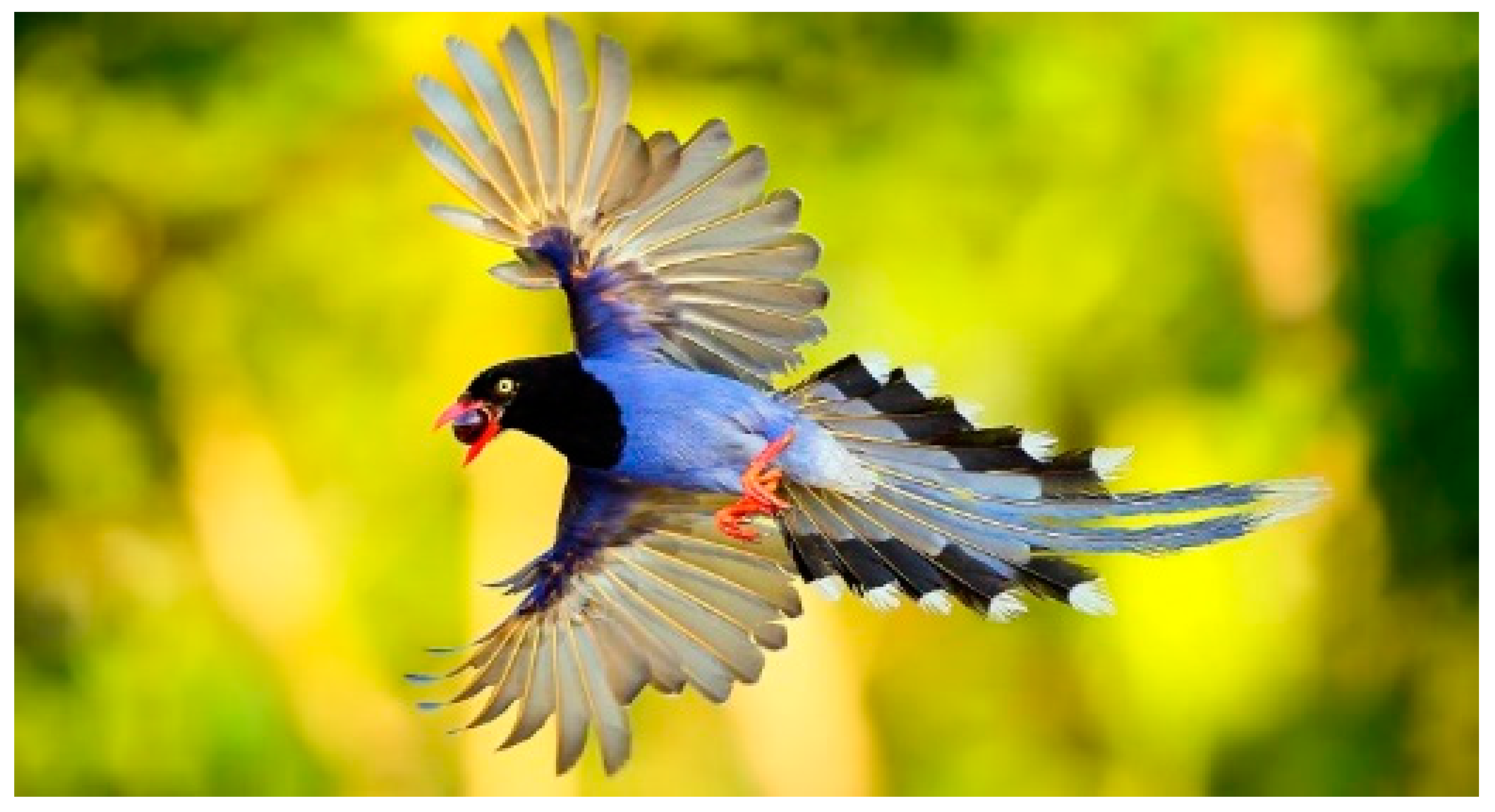 Sustainability 11 04500 i008