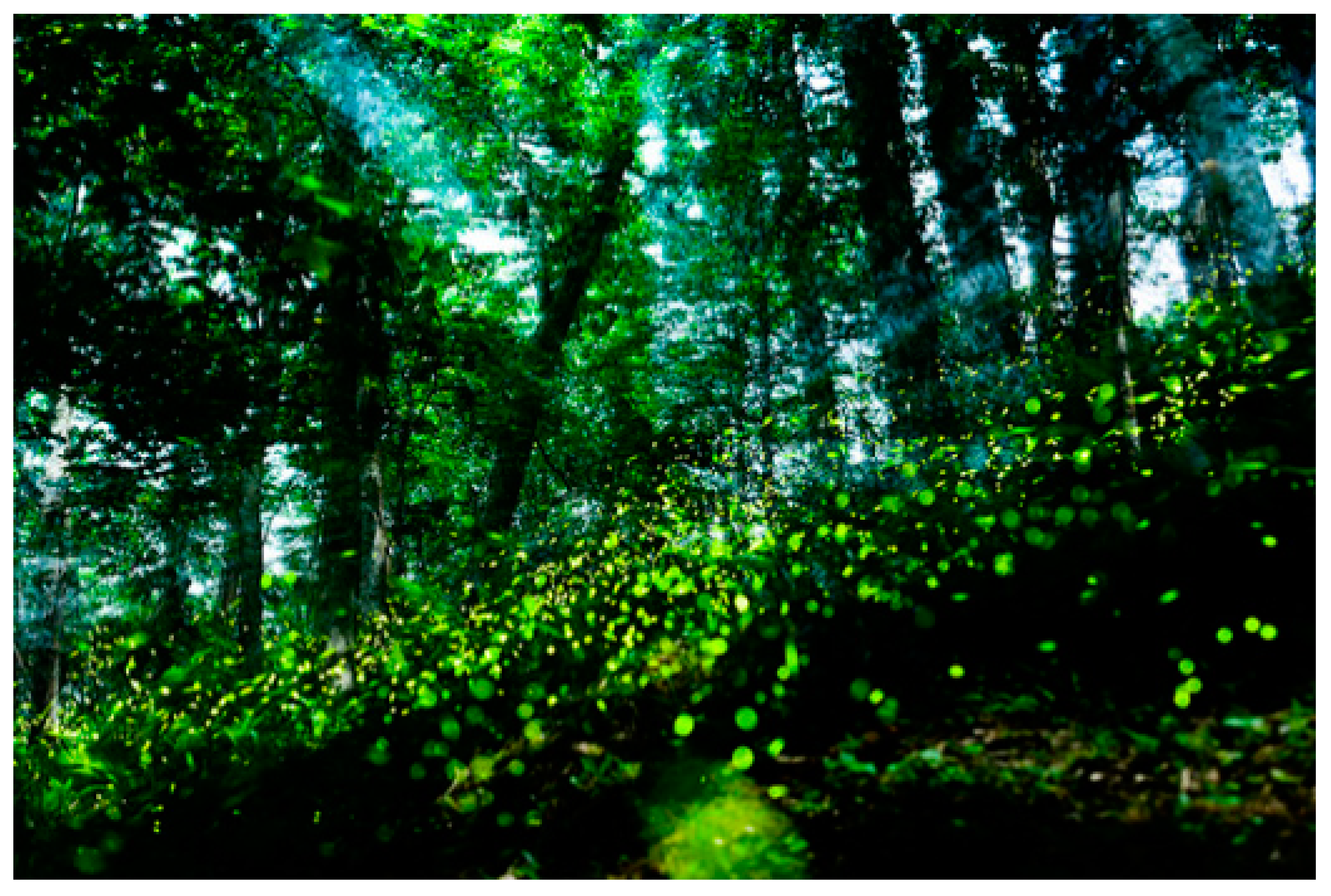 Sustainability 11 04500 i010