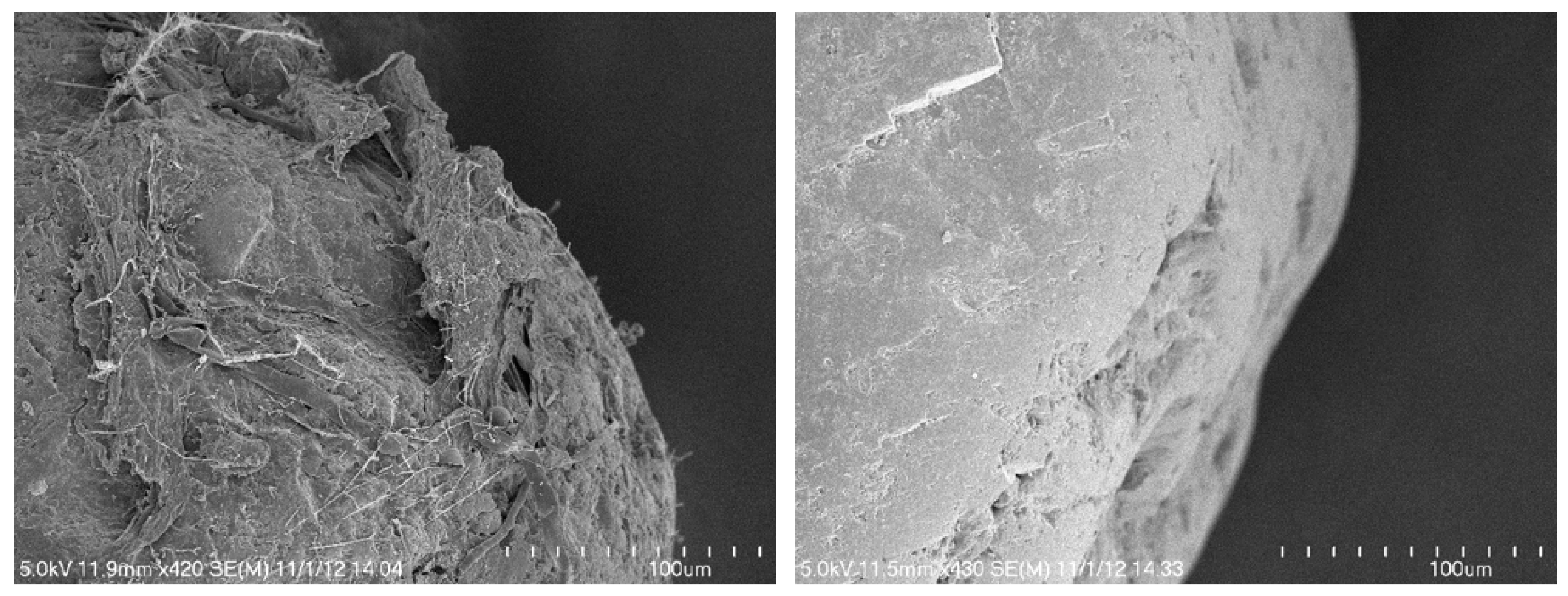 Sustainability 11 04505 g001 550