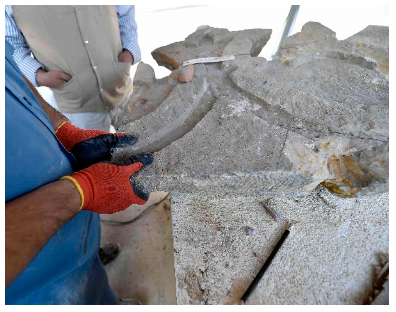 Sustainability 11 04533 g022 Sustainability 11 04533 g022